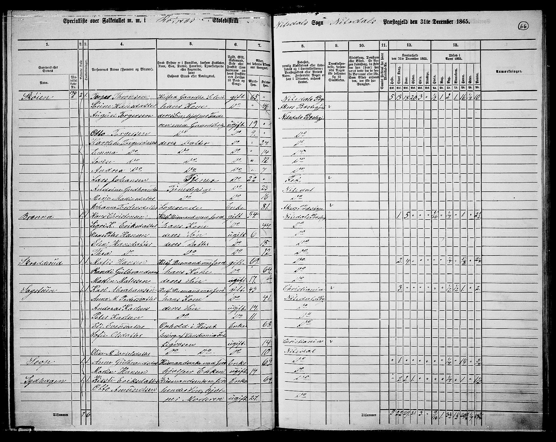 RA, 1865 census for Nittedal, 1865, p. 57