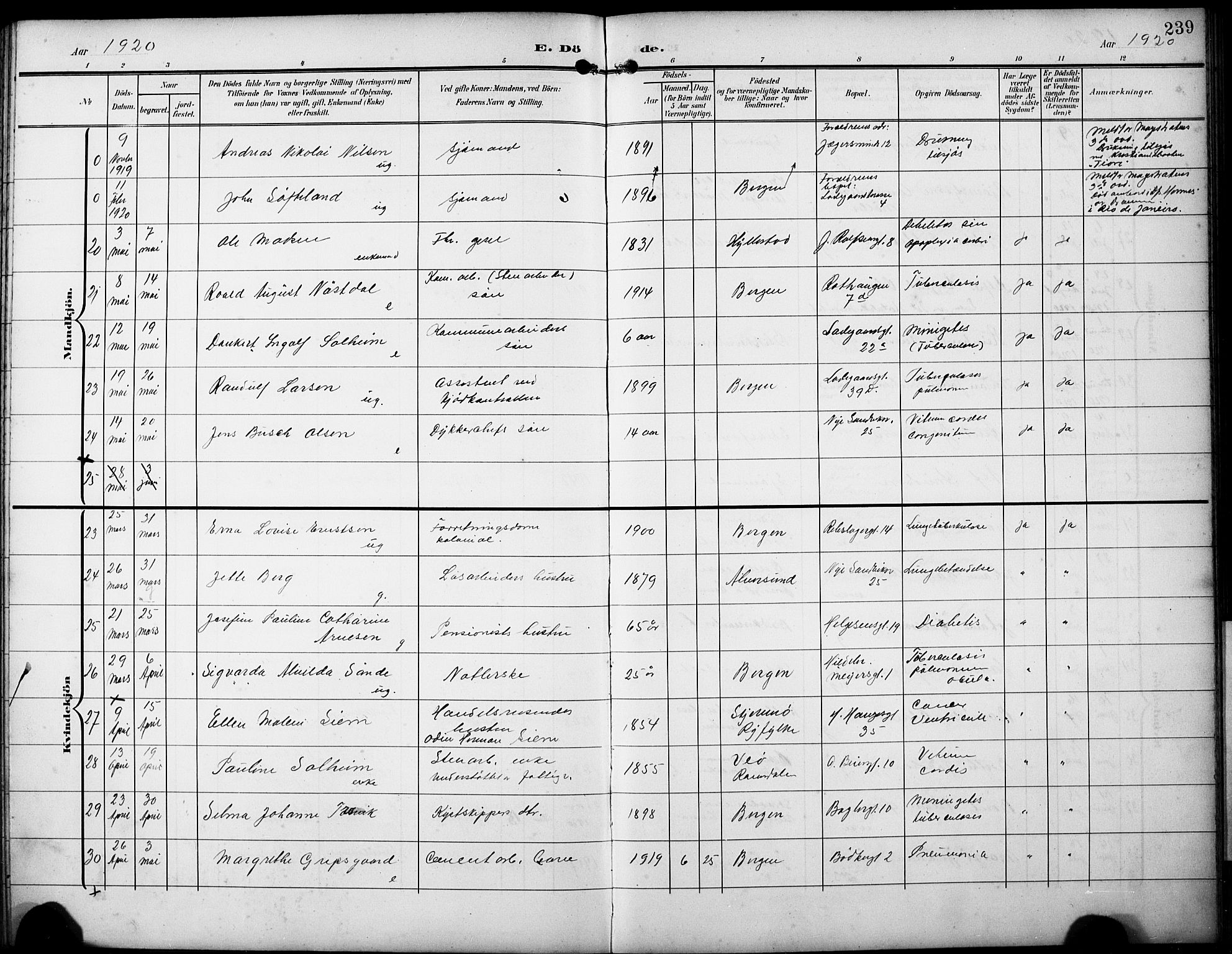 Sandviken Sokneprestembete, AV/SAB-A-77601/H/Hb/L0017: Parish register (copy) no. E 1, 1903-1926, p. 239