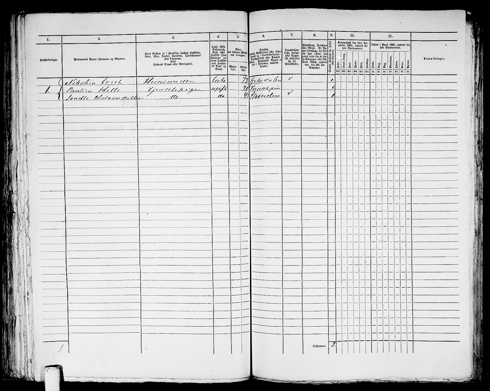 RA, 1865 census for Trondheim, 1865, p. 836