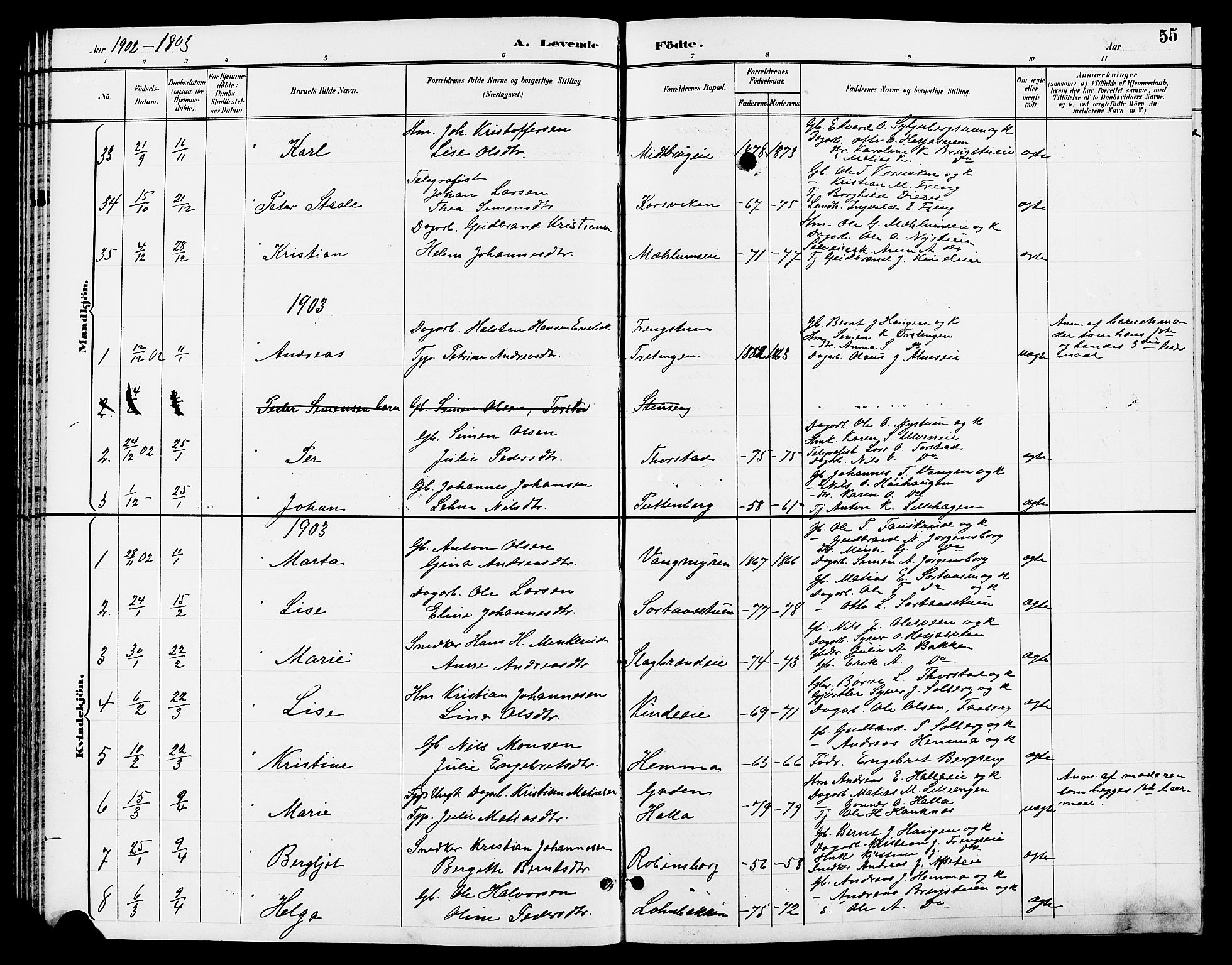 Ringsaker prestekontor, SAH/PREST-014/L/La/L0013: Parish register (copy) no. 13, 1891-1904, p. 55