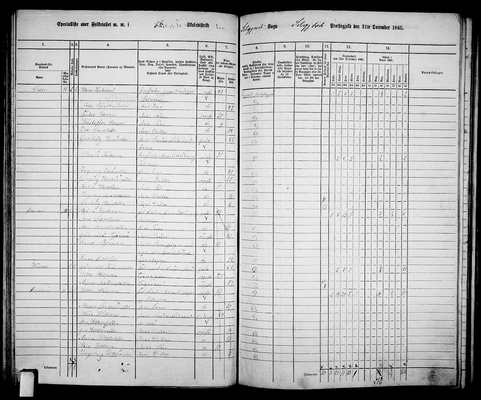 RA, 1865 census for Seljord, 1865, p. 88