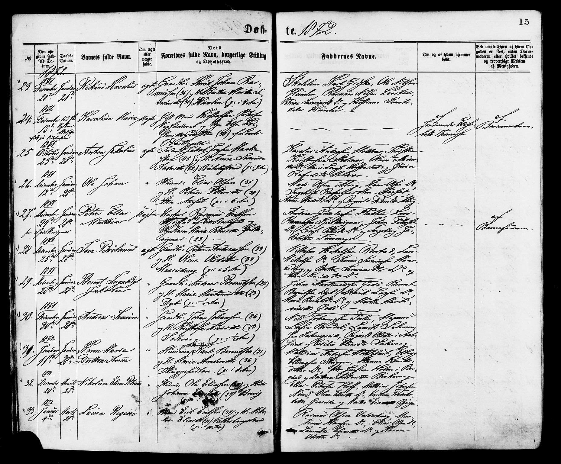 Ministerialprotokoller, klokkerbøker og fødselsregistre - Møre og Romsdal, AV/SAT-A-1454/528/L0400: Parish register (official) no. 528A11, 1871-1879, p. 15