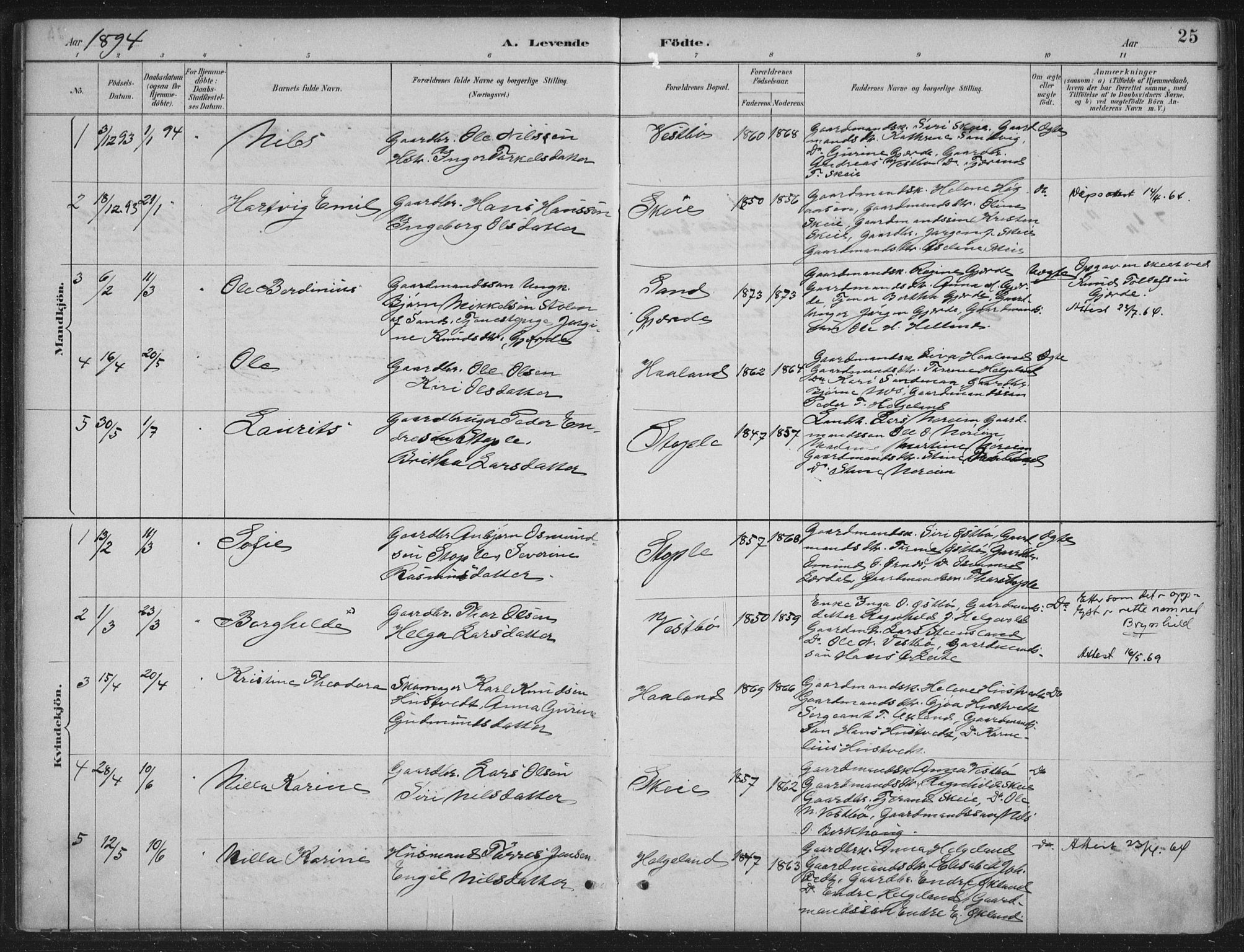 Vikedal sokneprestkontor, AV/SAST-A-101840/01/IV: Parish register (official) no. A 11, 1884-1933, p. 25