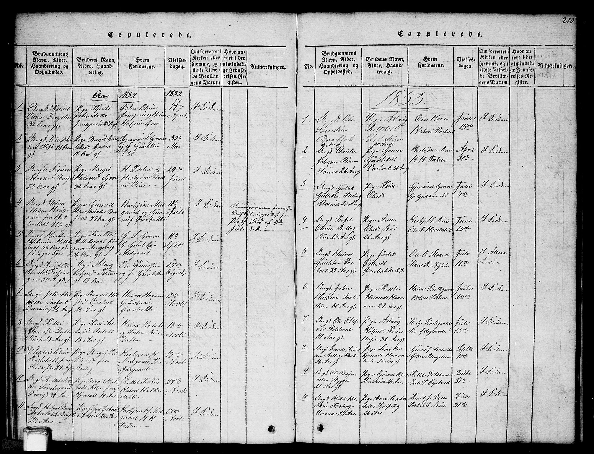 Gransherad kirkebøker, SAKO/A-267/G/Gb/L0001: Parish register (copy) no. II 1, 1815-1860, p. 210