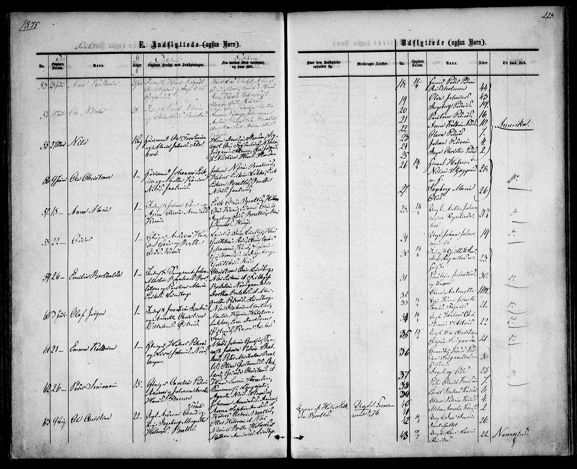 Hurdal prestekontor Kirkebøker, SAO/A-10889/F/Fa/L0006: Parish register (official) no. I 6, 1860-1877, p. 228