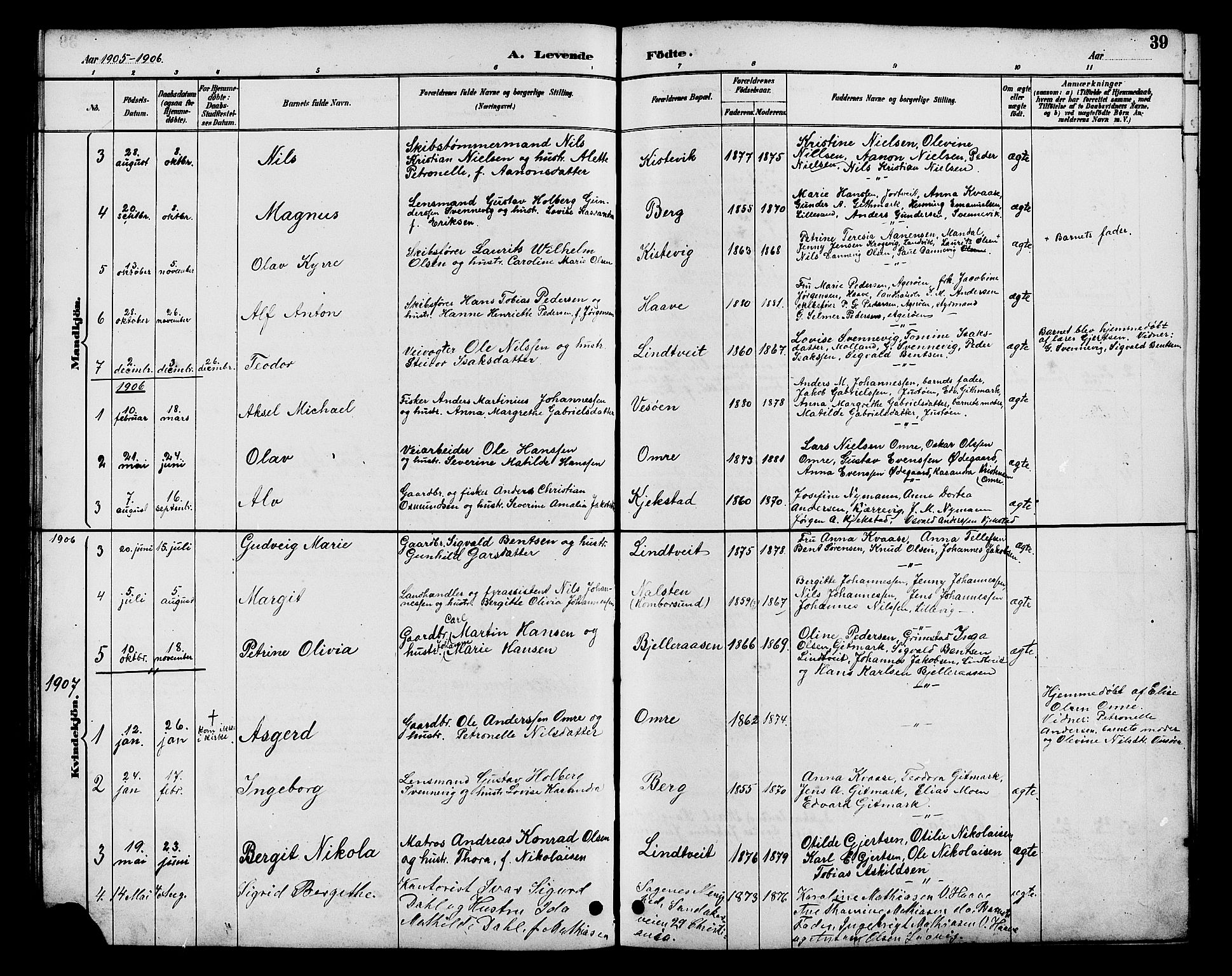 Hommedal sokneprestkontor, AV/SAK-1111-0023/F/Fb/Fba/L0004: Parish register (copy) no. B 4, 1885-1908, p. 39