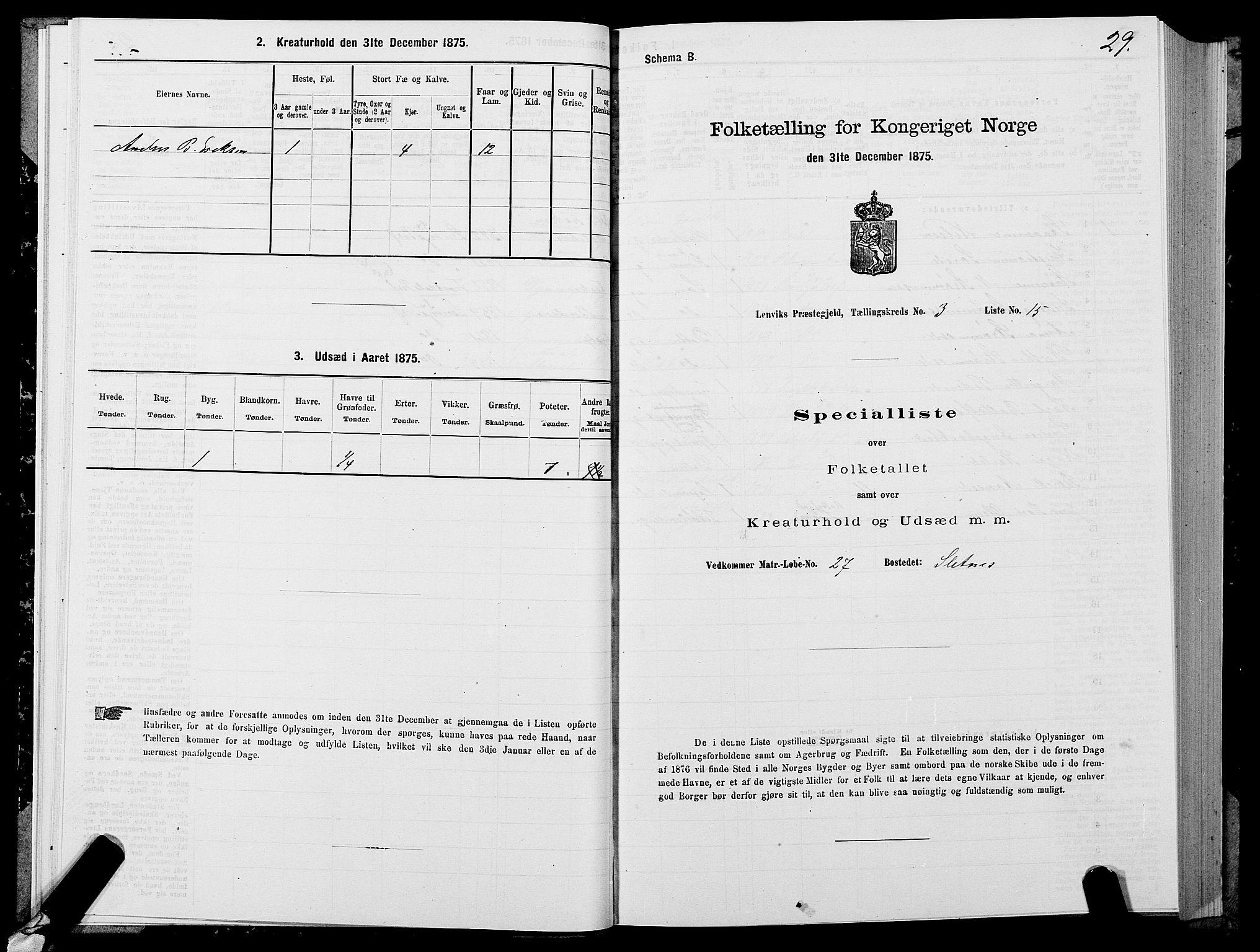 SATØ, 1875 census for 1931P Lenvik, 1875, p. 2029