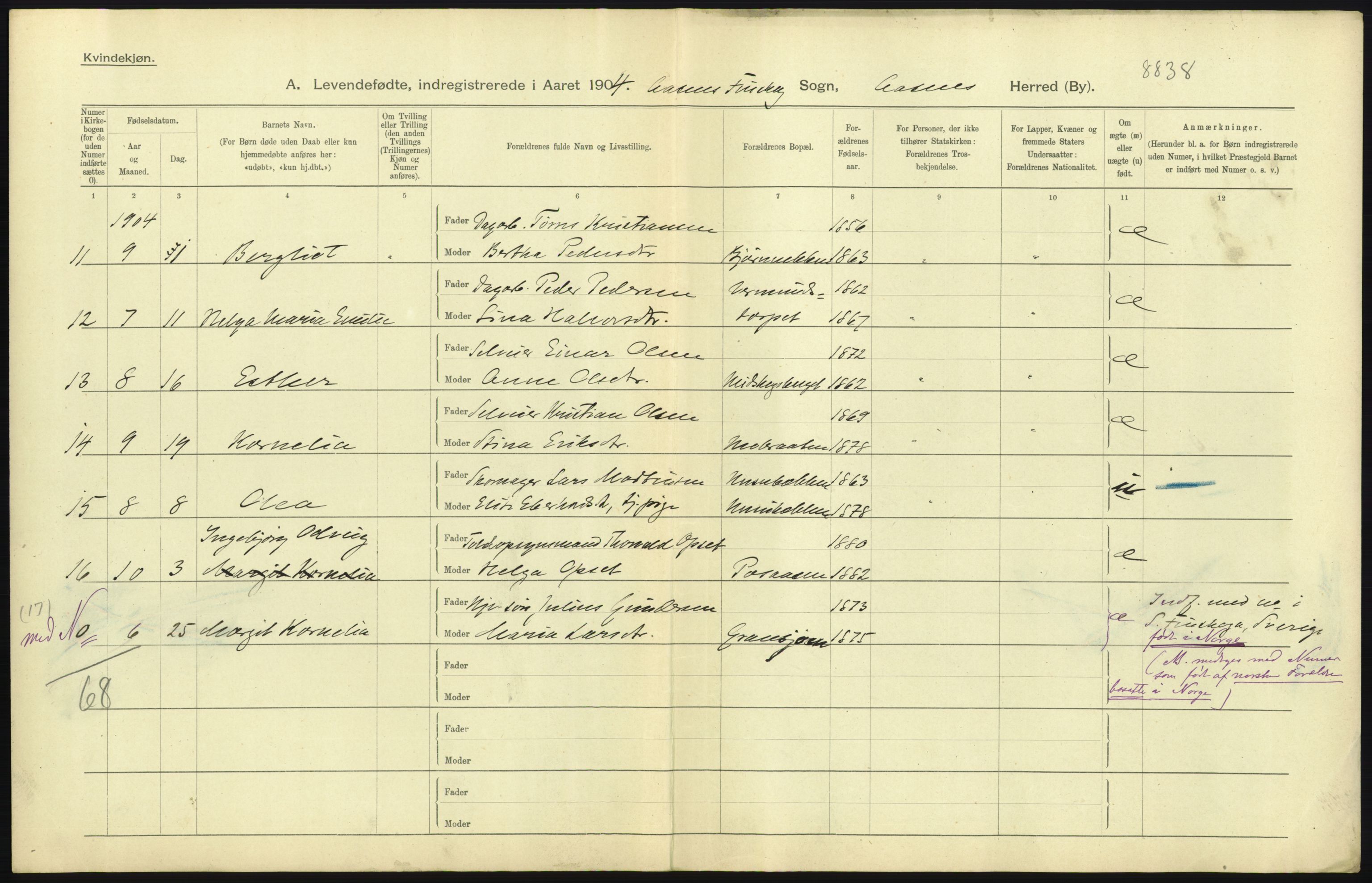 Statistisk sentralbyrå, Sosiodemografiske emner, Befolkning, AV/RA-S-2228/D/Df/Dfa/Dfab/L0005: Hedemarkens amt: Fødte, gifte, døde, 1904, p. 63