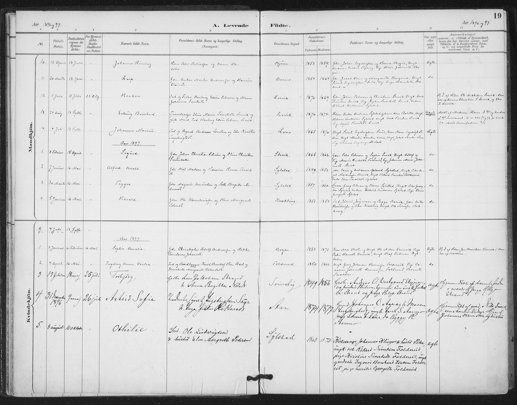 Ministerialprotokoller, klokkerbøker og fødselsregistre - Nord-Trøndelag, SAT/A-1458/783/L0660: Parish register (official) no. 783A02, 1886-1918, p. 19
