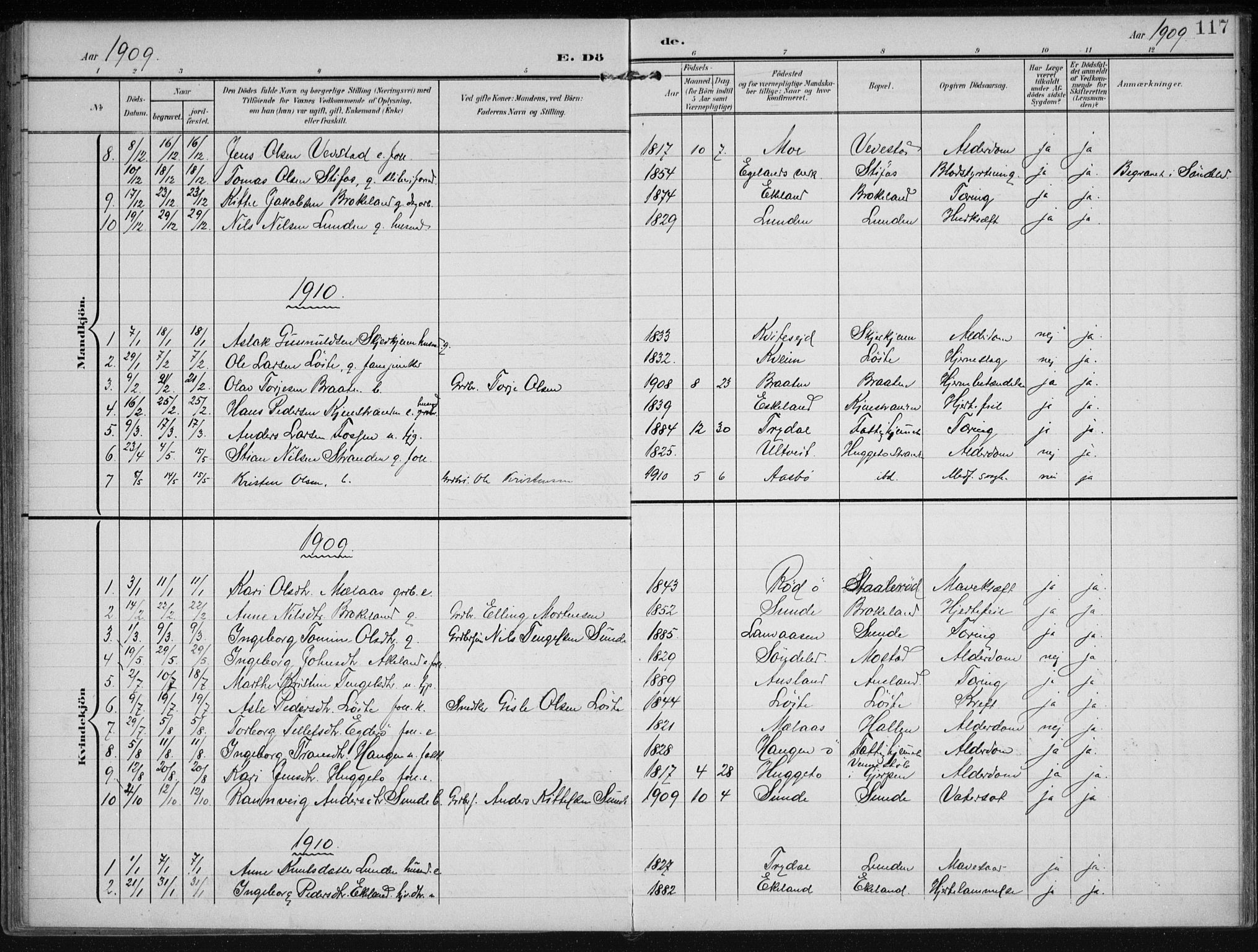 Gjerstad sokneprestkontor, AV/SAK-1111-0014/F/Fa/Faa/L0011: Parish register (official) no. A 11, 1903-1914, p. 117