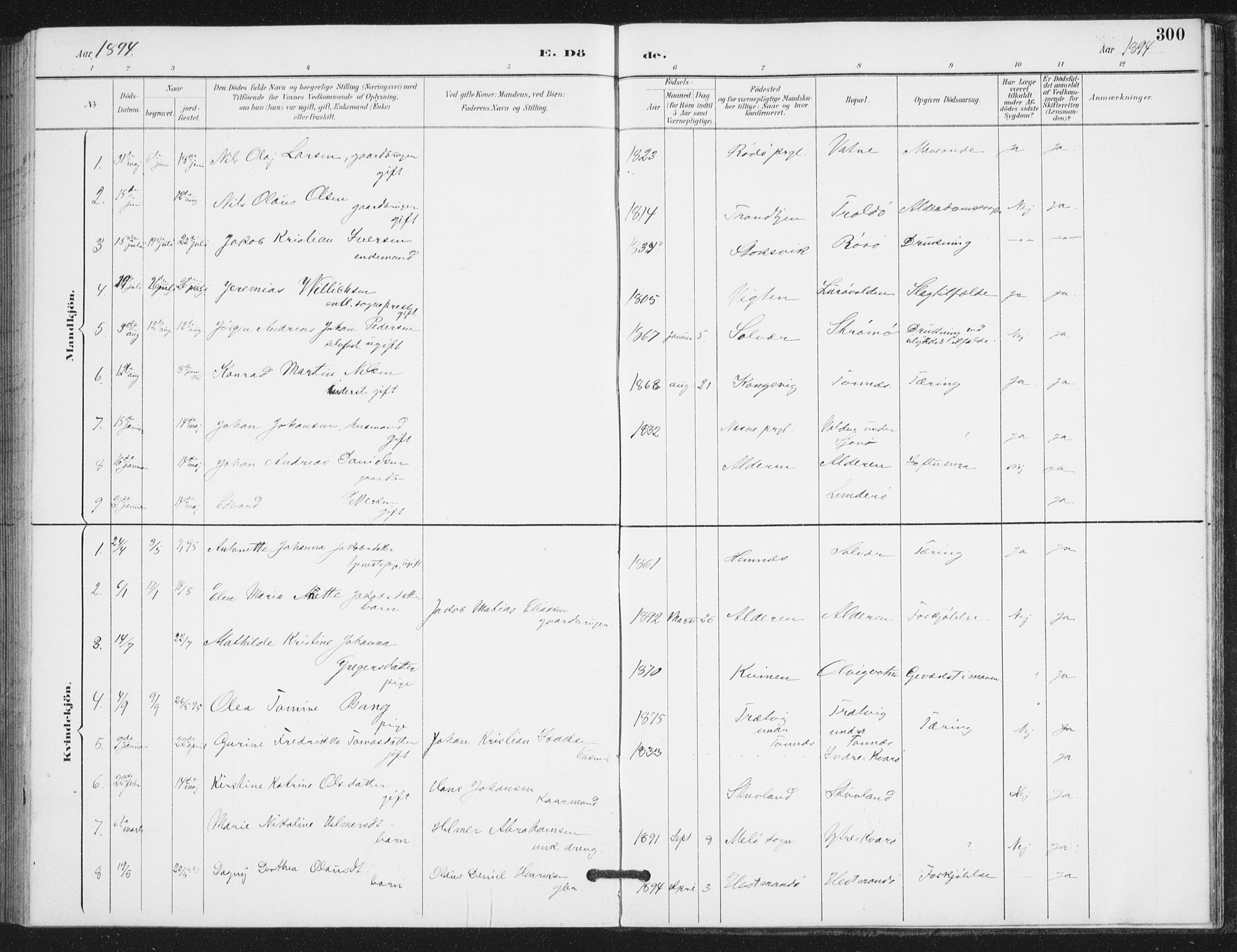 Ministerialprotokoller, klokkerbøker og fødselsregistre - Nordland, AV/SAT-A-1459/839/L0573: Parish register (copy) no. 839C03, 1892-1917, p. 300