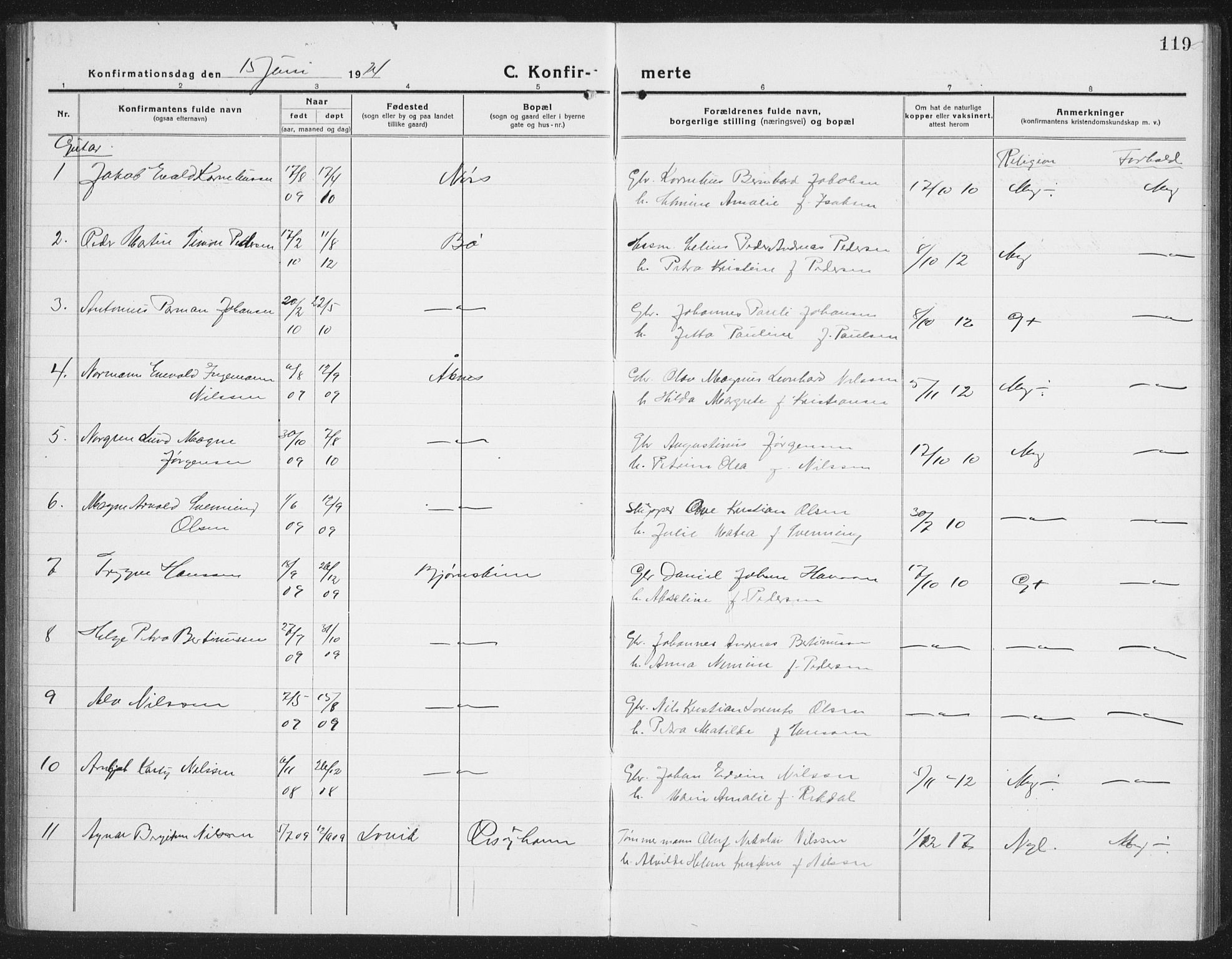 Ministerialprotokoller, klokkerbøker og fødselsregistre - Nordland, AV/SAT-A-1459/898/L1428: Parish register (copy) no. 898C03, 1918-1938, p. 119