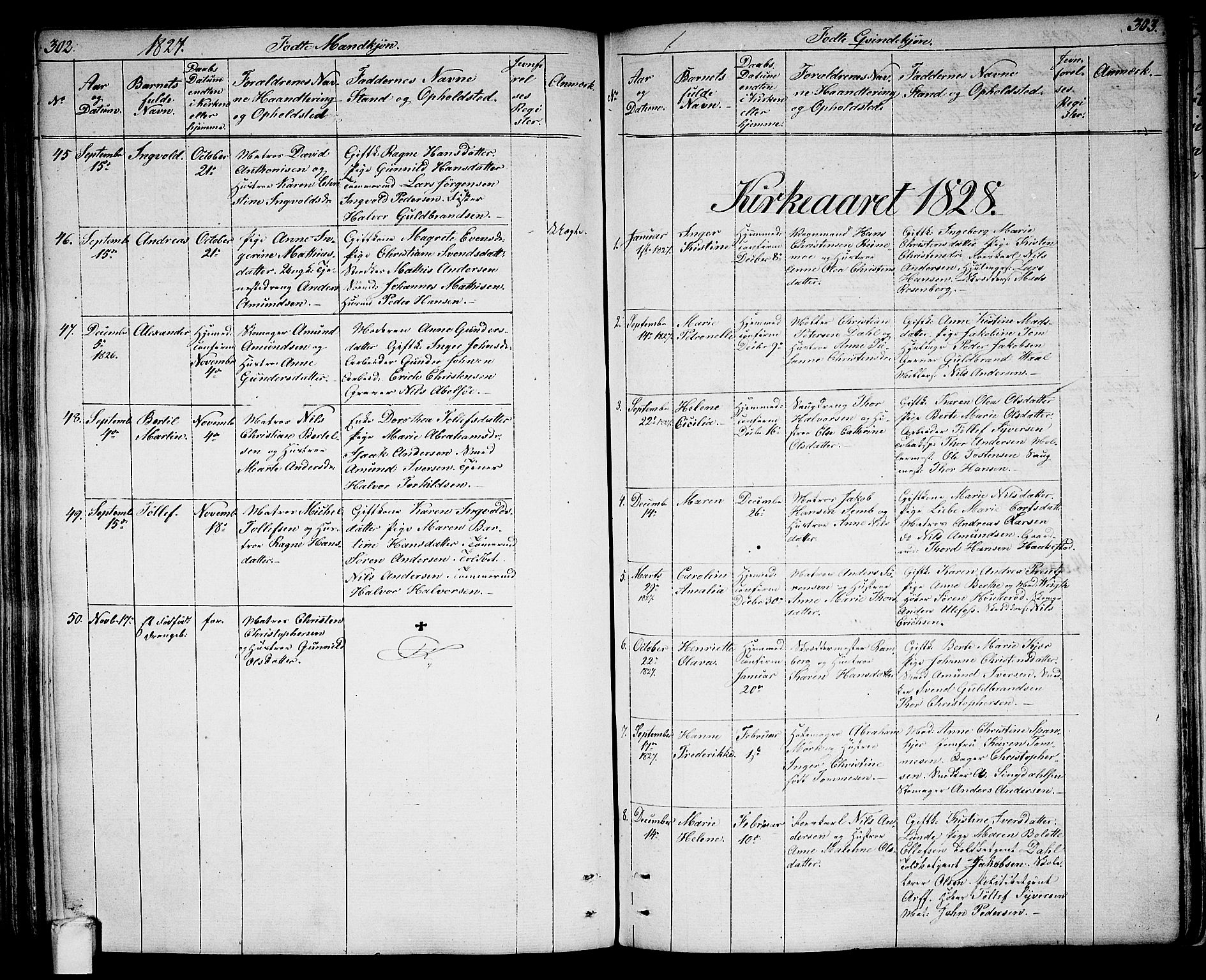 Larvik kirkebøker, SAKO/A-352/G/Ga/L0002: Parish register (copy) no. I 2, 1807-1830, p. 302-303