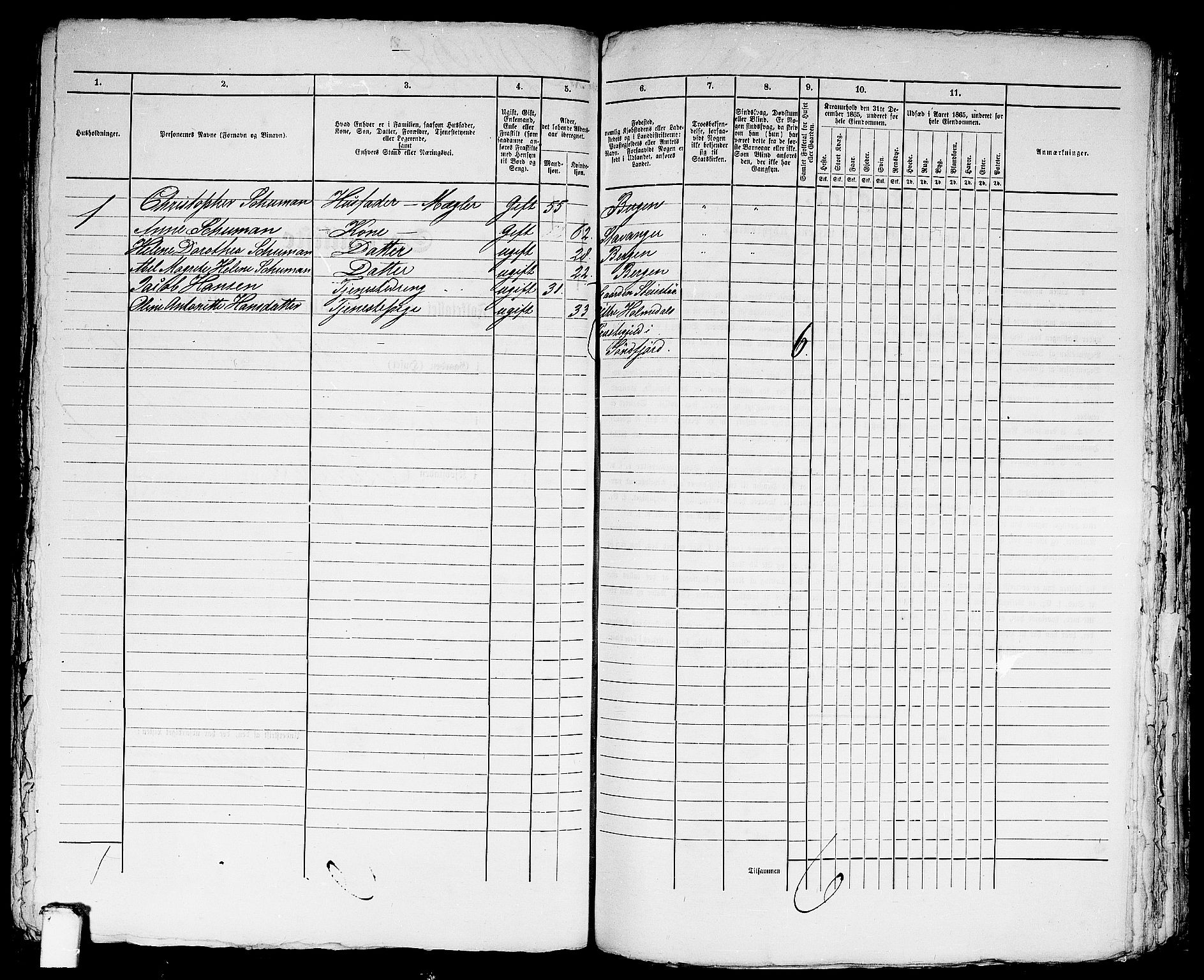 RA, 1865 census for Bergen, 1865, p. 4956