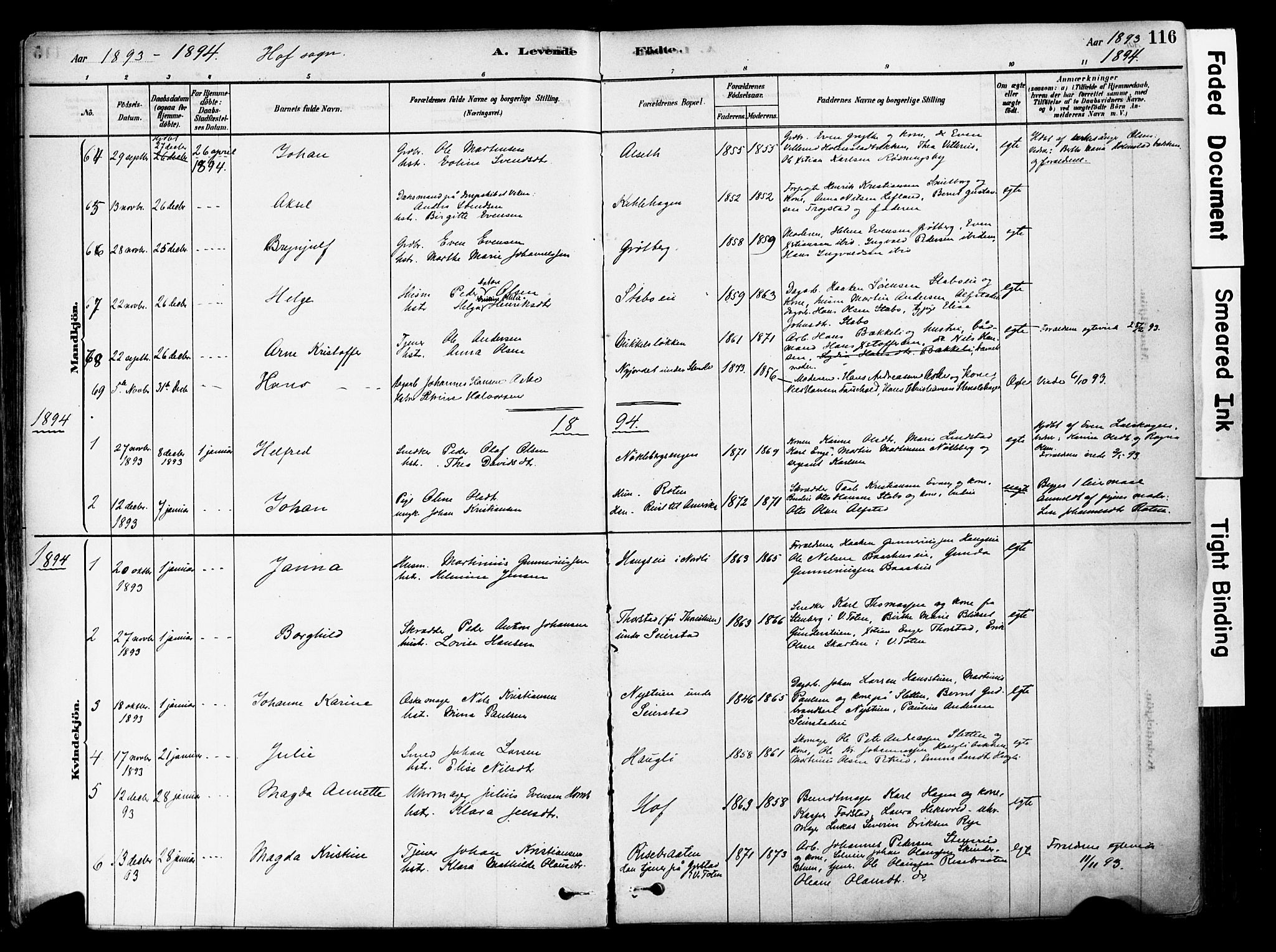 Østre Toten prestekontor, SAH/PREST-104/H/Ha/Haa/L0006: Parish register (official) no. 6 /1, 1878-1896, p. 116