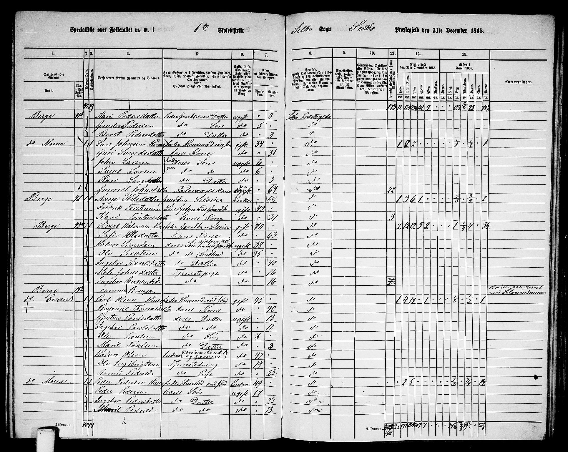 RA, 1865 census for Selbu, 1865, p. 110