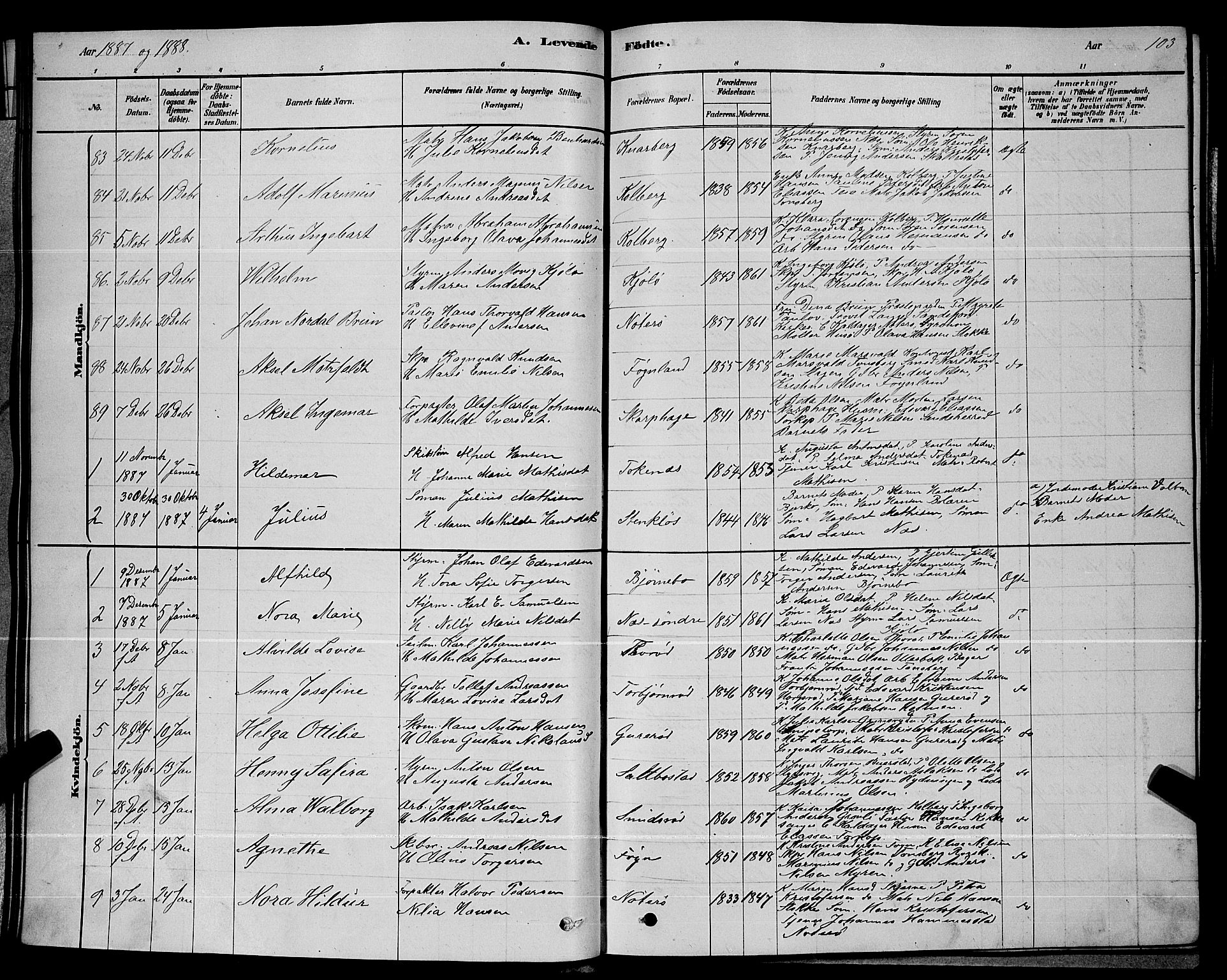 Nøtterøy kirkebøker, SAKO/A-354/G/Ga/L0003: Parish register (copy) no. I 3, 1878-1893, p. 103