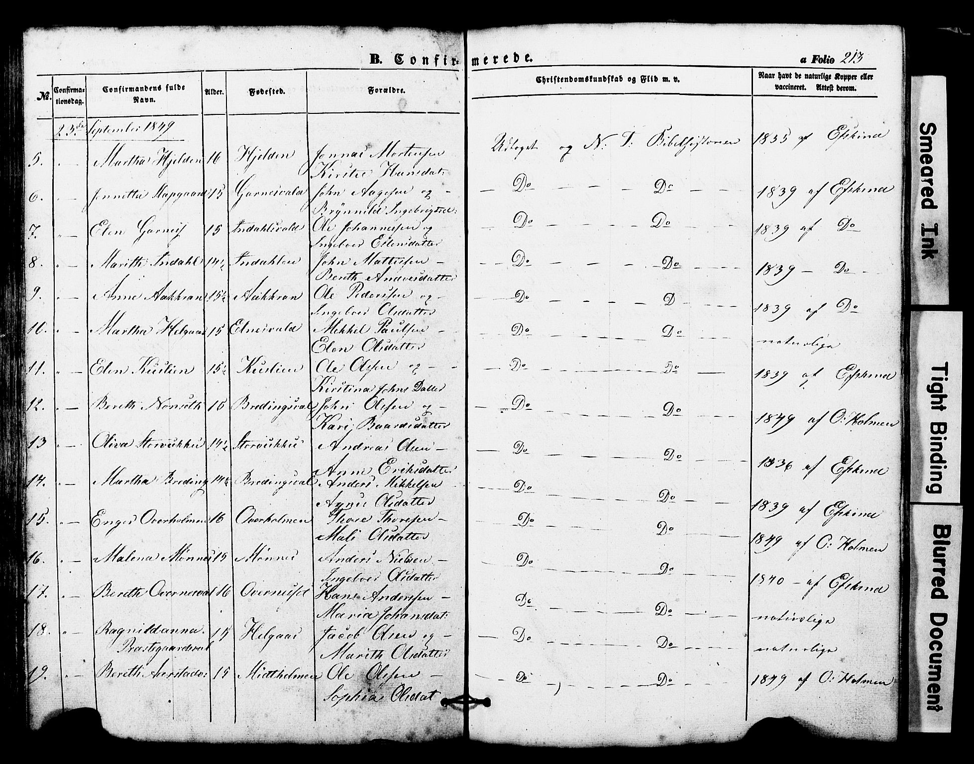 Ministerialprotokoller, klokkerbøker og fødselsregistre - Nord-Trøndelag, AV/SAT-A-1458/724/L0268: Parish register (copy) no. 724C04, 1846-1878, p. 213