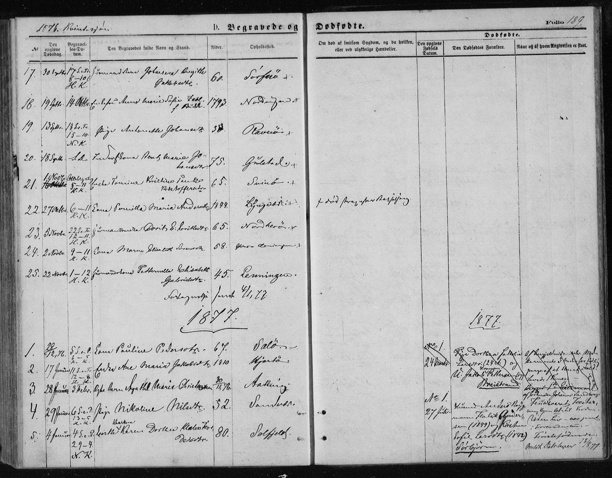 Ministerialprotokoller, klokkerbøker og fødselsregistre - Nordland, AV/SAT-A-1459/834/L0506: Parish register (official) no. 834A04, 1872-1878, p. 189