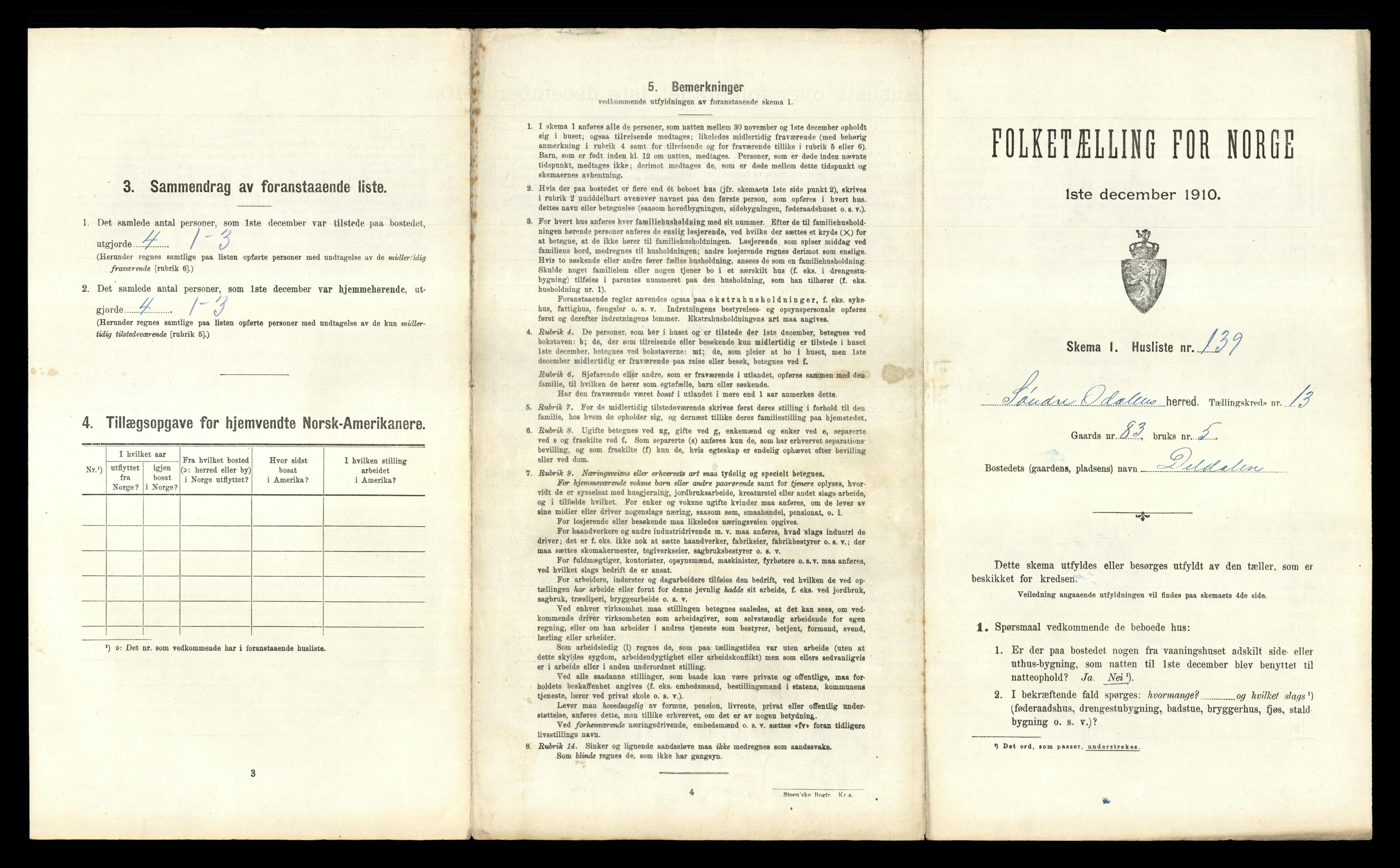 RA, 1910 census for Sør-Odal, 1910, p. 2318