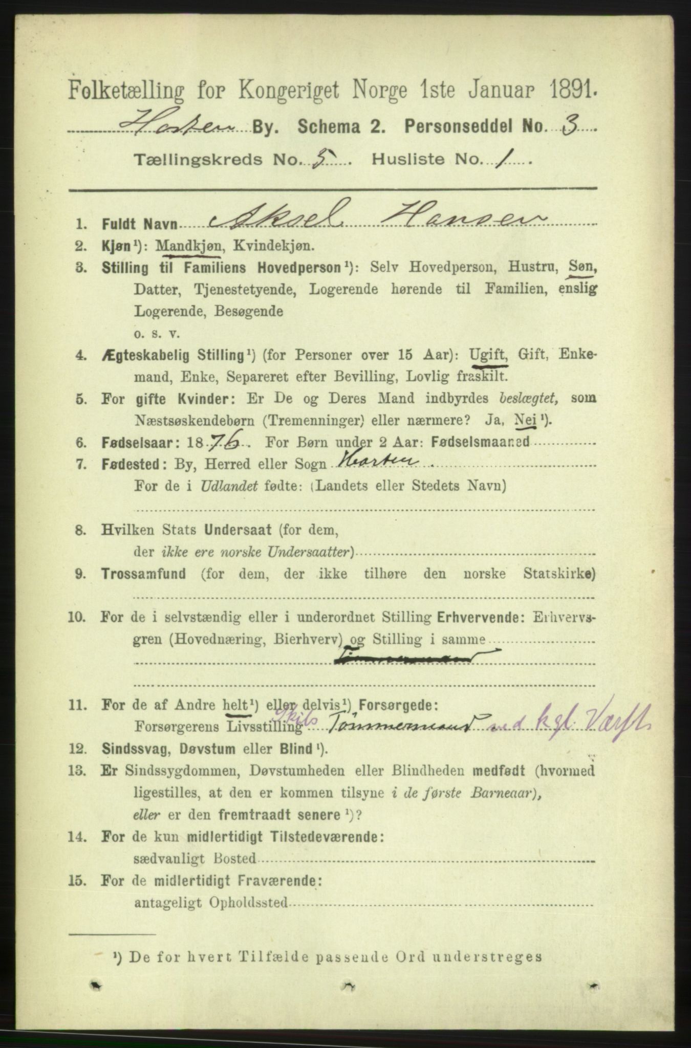 RA, 1891 census for 0703 Horten, 1891, p. 3484