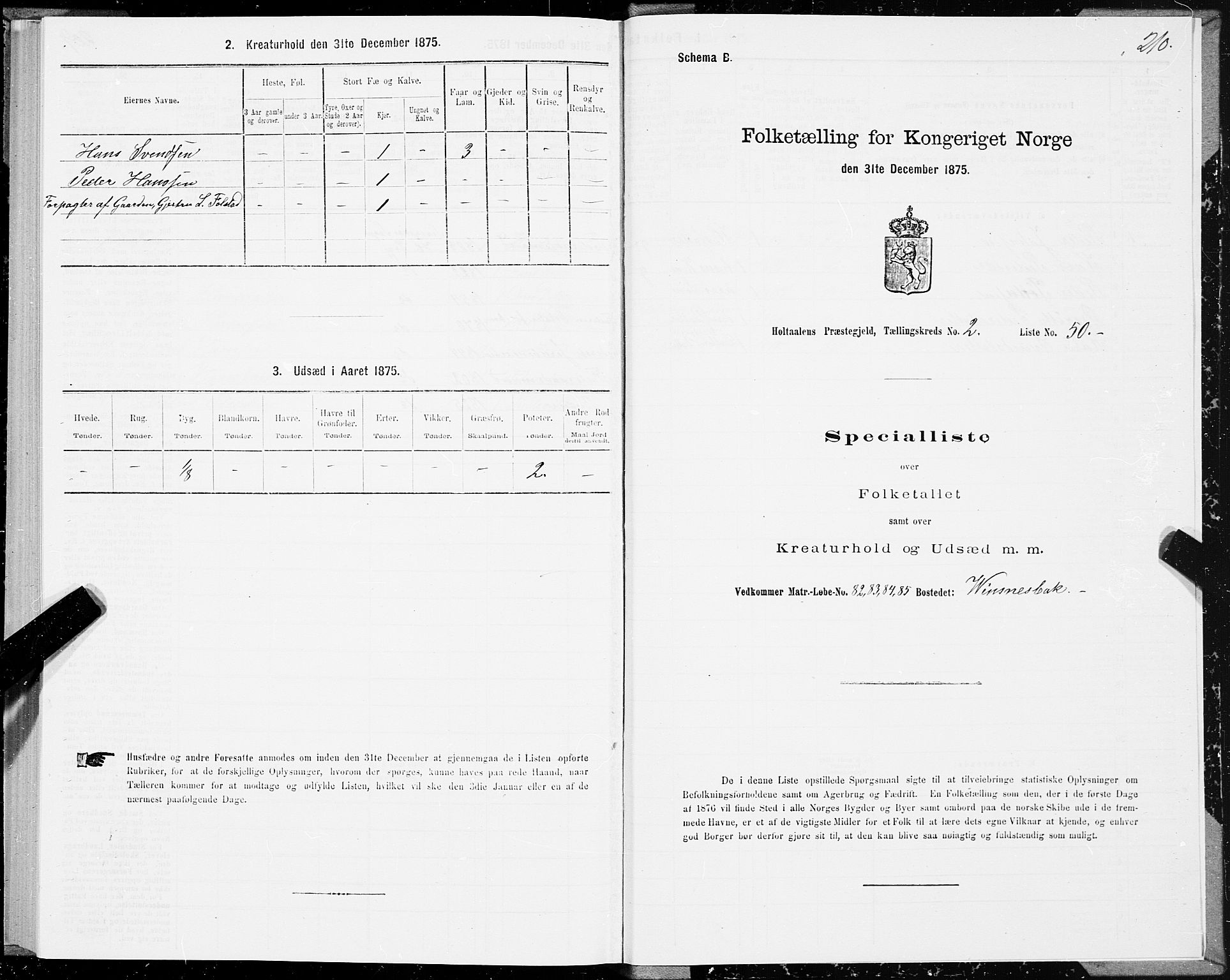 SAT, 1875 census for 1645P Haltdalen, 1875, p. 2210
