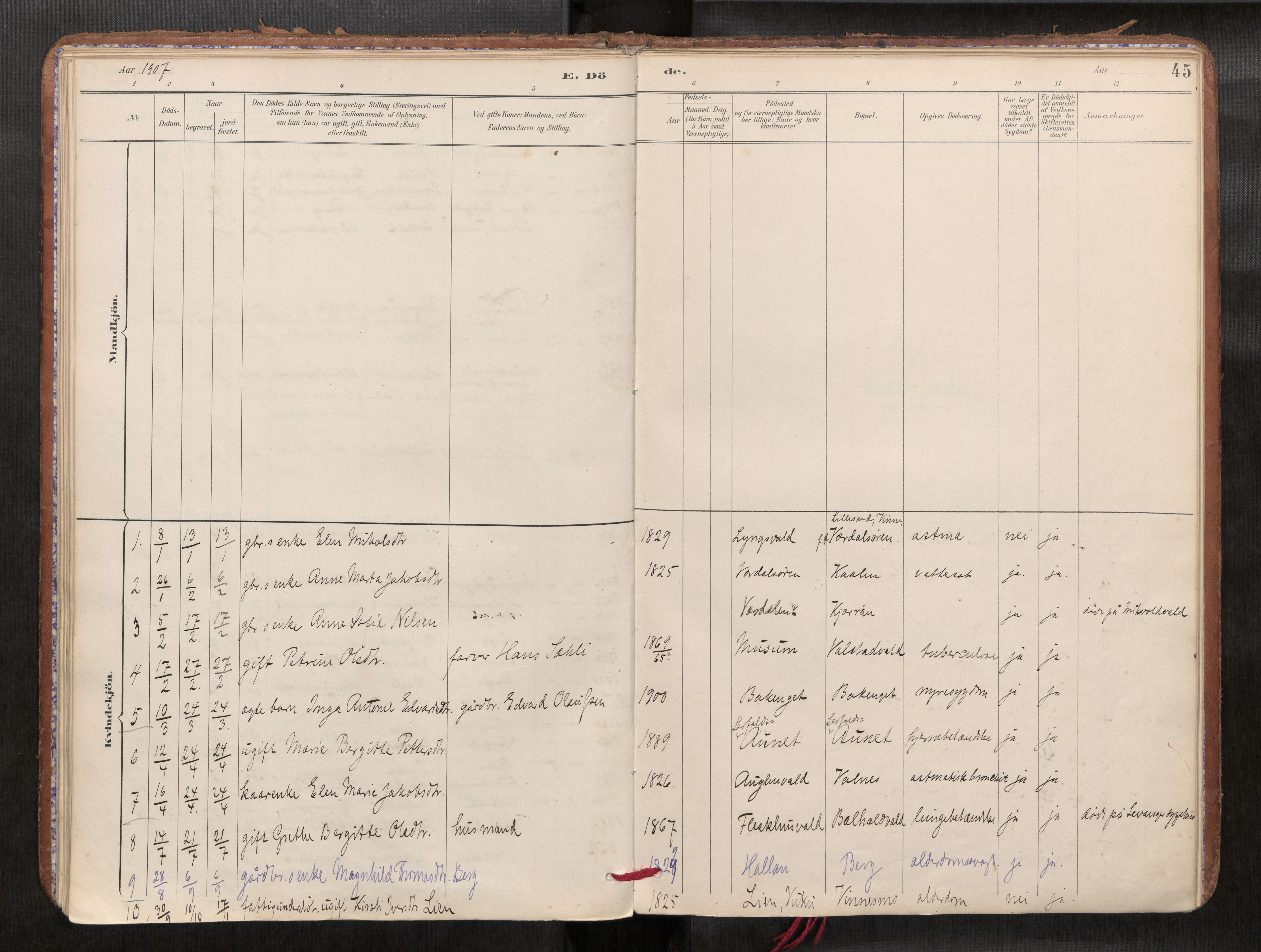 Verdal sokneprestkontor, SAT/A-1156/2/H/Haa/L0002: Parish register (official) no. 2, 1891-1907, p. 45
