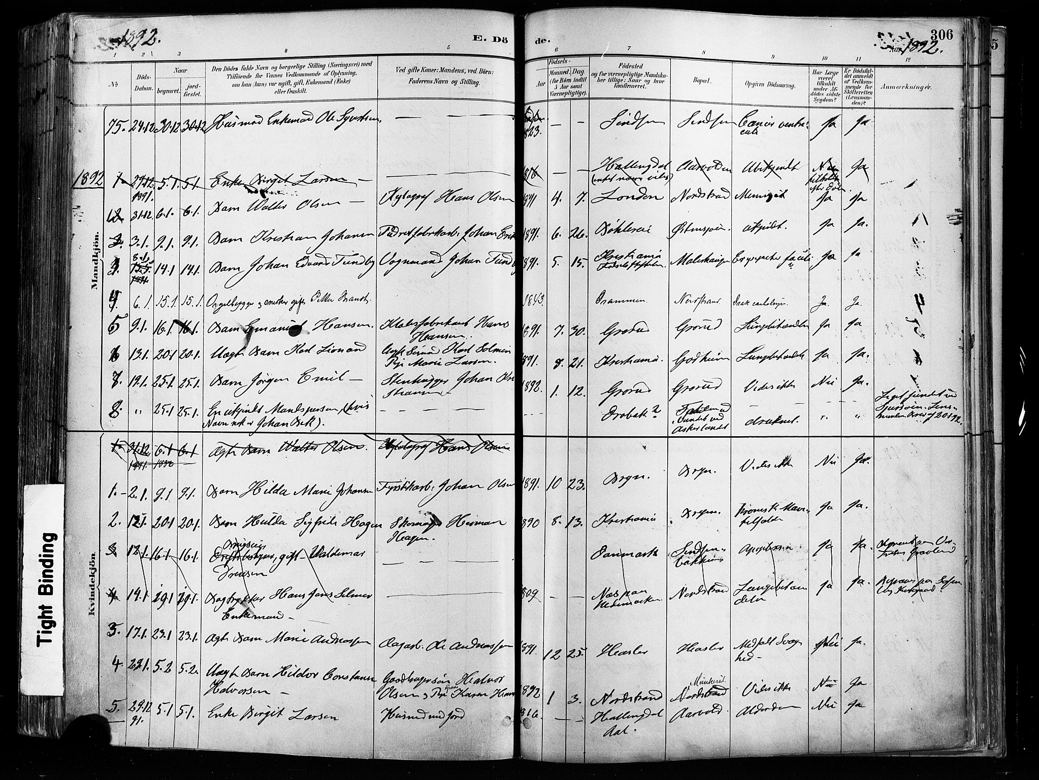 Østre Aker prestekontor Kirkebøker, AV/SAO-A-10840/F/Fa/L0008: Parish register (official) no. I 8, 1883-1894, p. 306