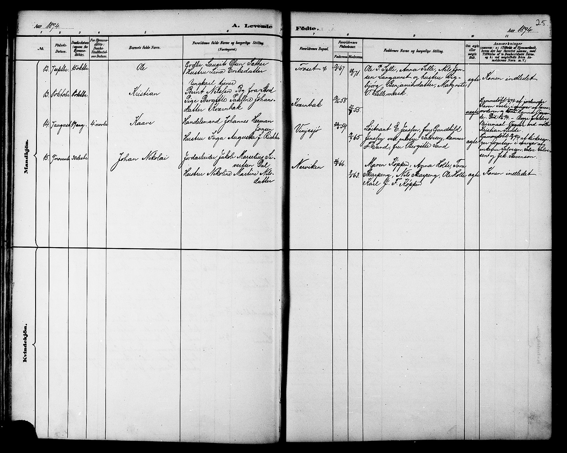 Ministerialprotokoller, klokkerbøker og fødselsregistre - Nord-Trøndelag, AV/SAT-A-1458/733/L0327: Parish register (copy) no. 733C02, 1888-1918, p. 25