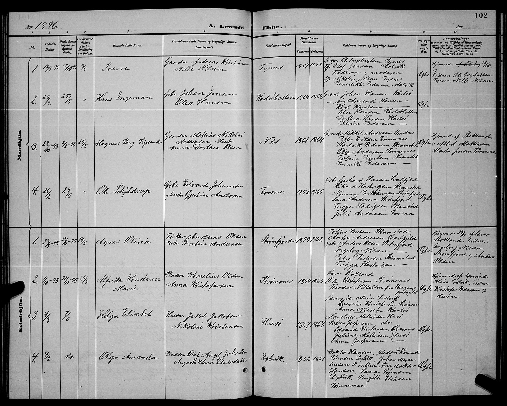 Ministerialprotokoller, klokkerbøker og fødselsregistre - Nordland, SAT/A-1459/859/L0859: Parish register (copy) no. 859C05, 1887-1898, p. 102
