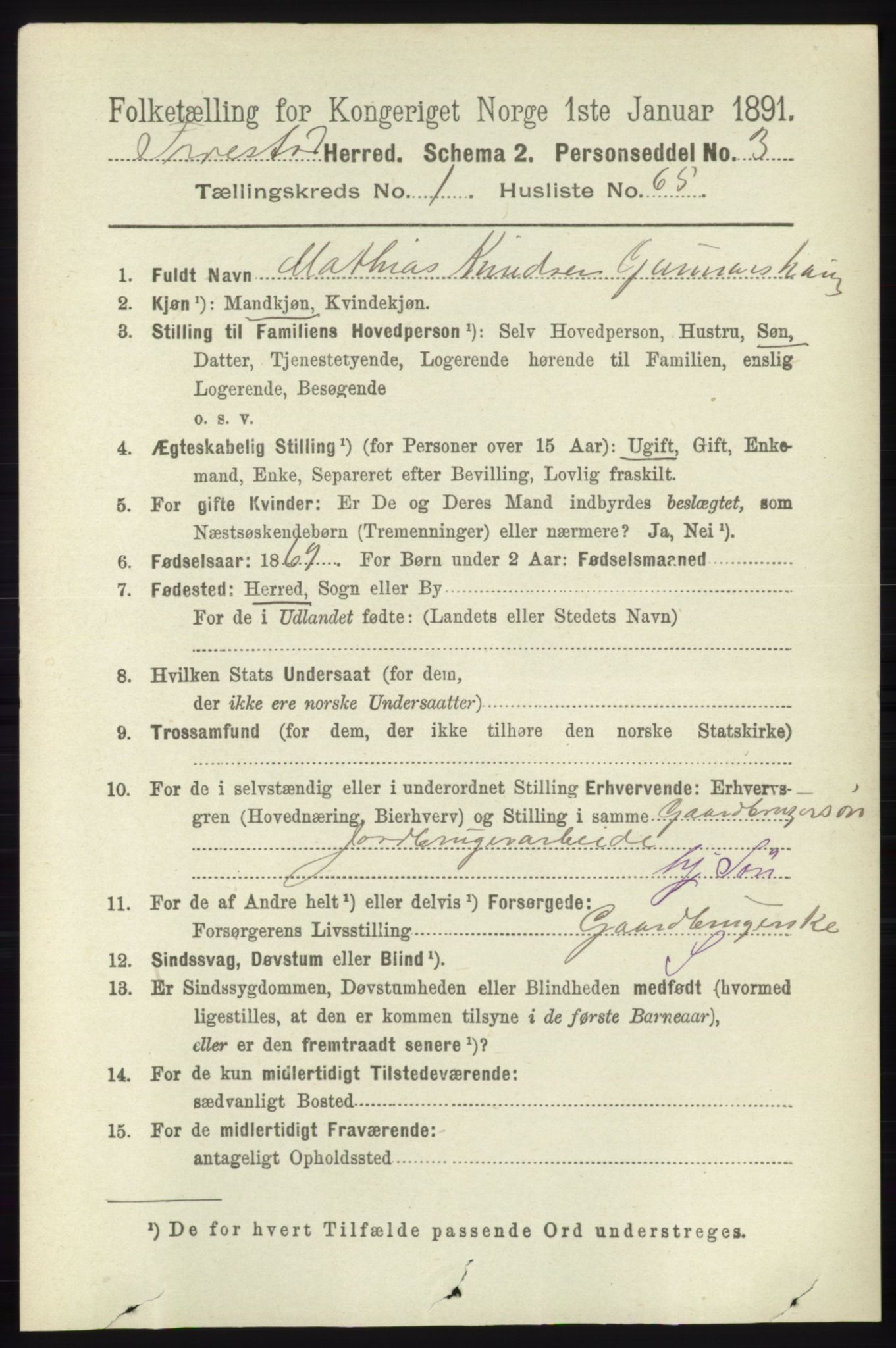 RA, 1891 census for 1152 Torvastad, 1891, p. 441