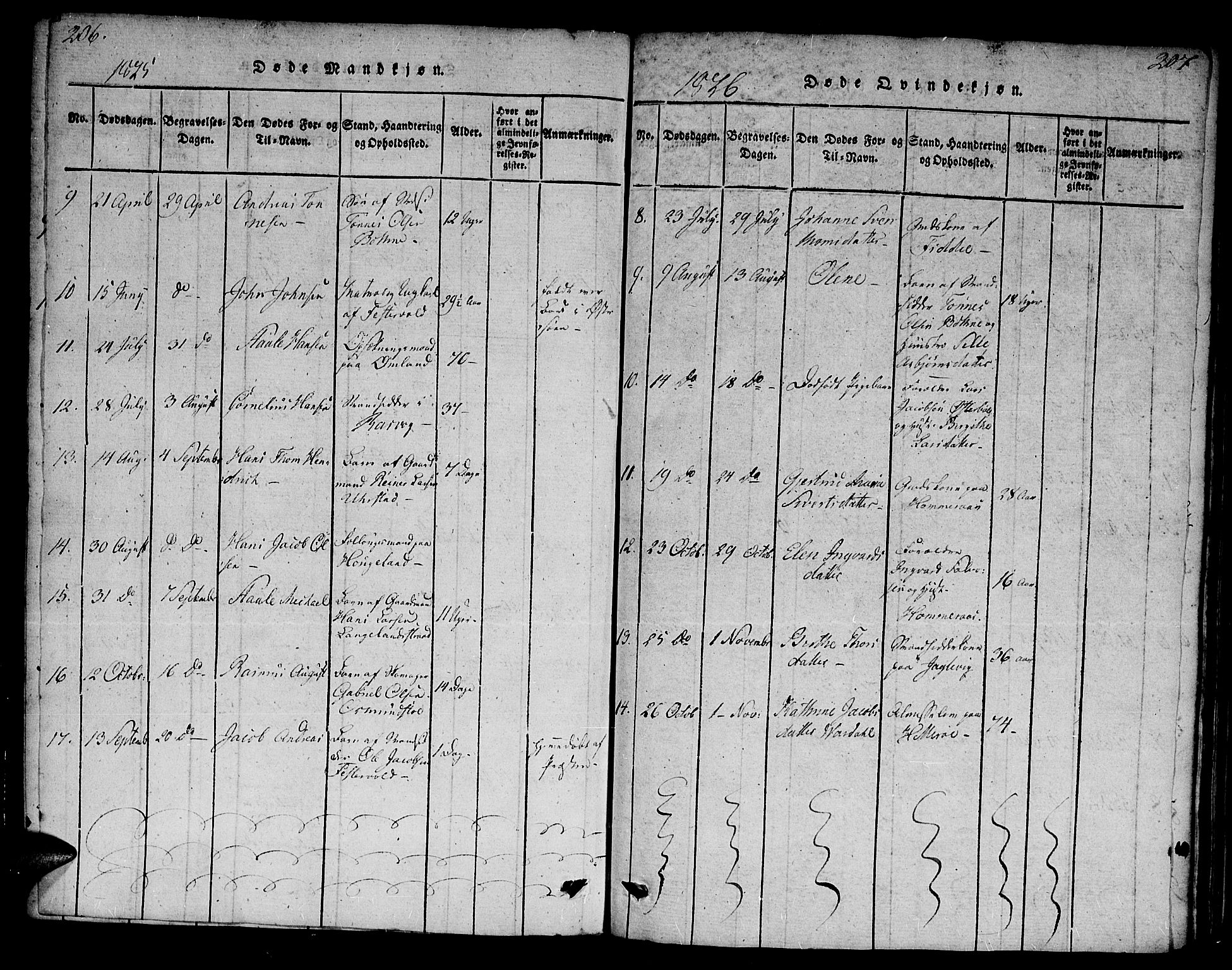 Flekkefjord sokneprestkontor, AV/SAK-1111-0012/F/Fa/Fab/L0003: Parish register (official) no. A 3, 1815-1830, p. 206-207