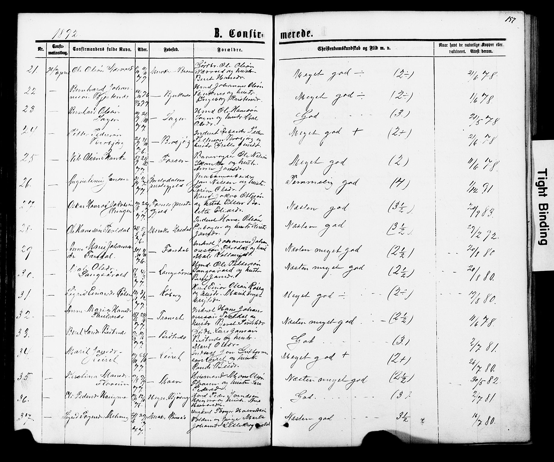 Ministerialprotokoller, klokkerbøker og fødselsregistre - Nord-Trøndelag, SAT/A-1458/706/L0049: Parish register (copy) no. 706C01, 1864-1895, p. 157