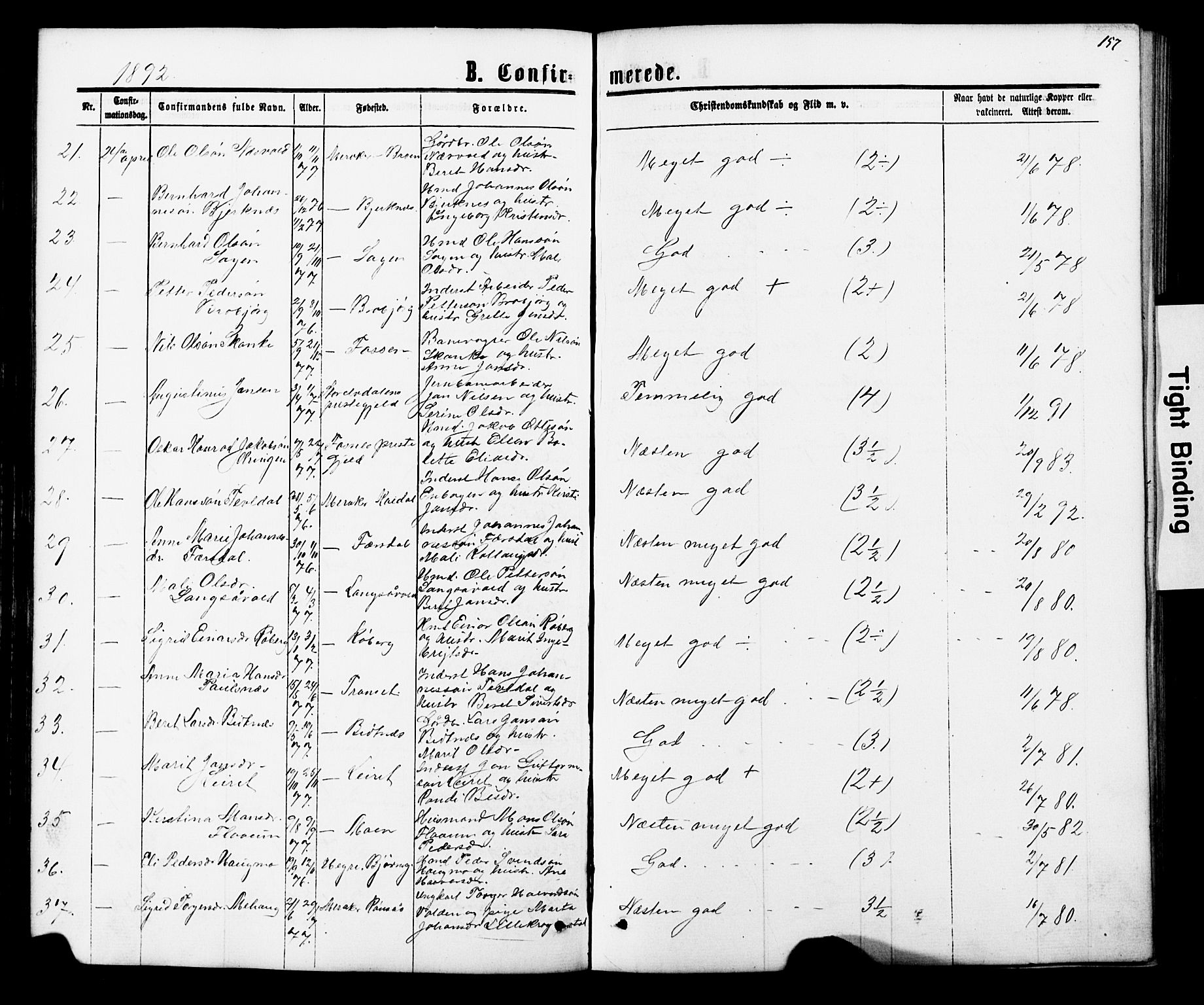 Ministerialprotokoller, klokkerbøker og fødselsregistre - Nord-Trøndelag, AV/SAT-A-1458/706/L0049: Parish register (copy) no. 706C01, 1864-1895, p. 157