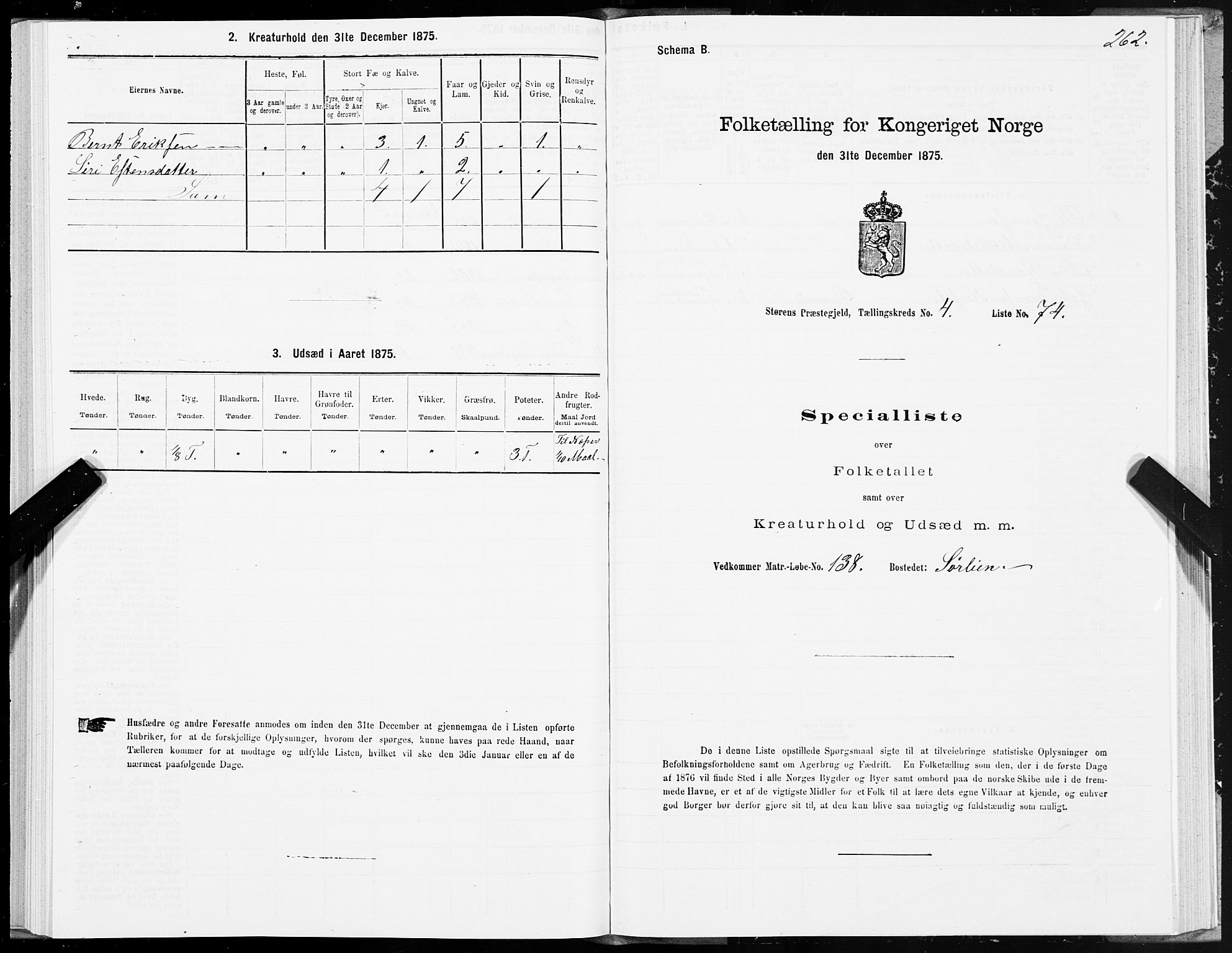 SAT, 1875 census for 1648P Støren, 1875, p. 8262