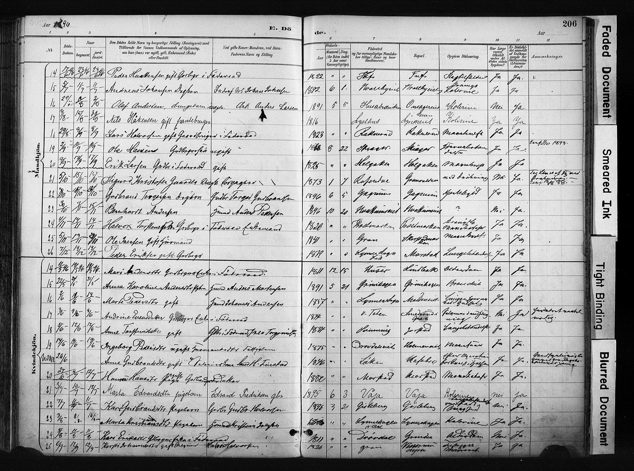 Gran prestekontor, SAH/PREST-112/H/Ha/Haa/L0017: Parish register (official) no. 17, 1889-1897, p. 206