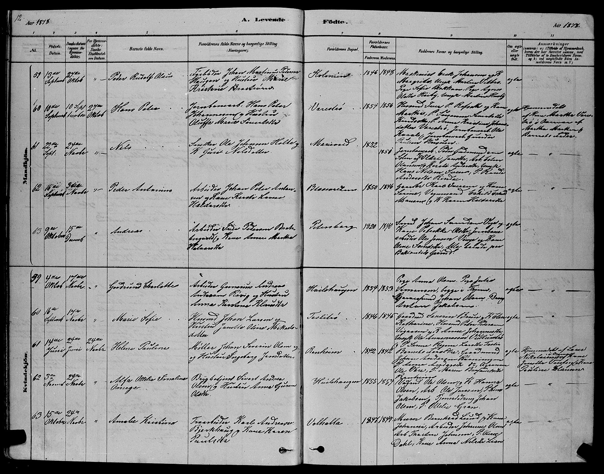 Ministerialprotokoller, klokkerbøker og fødselsregistre - Sør-Trøndelag, AV/SAT-A-1456/606/L0312: Parish register (copy) no. 606C08, 1878-1894, p. 12