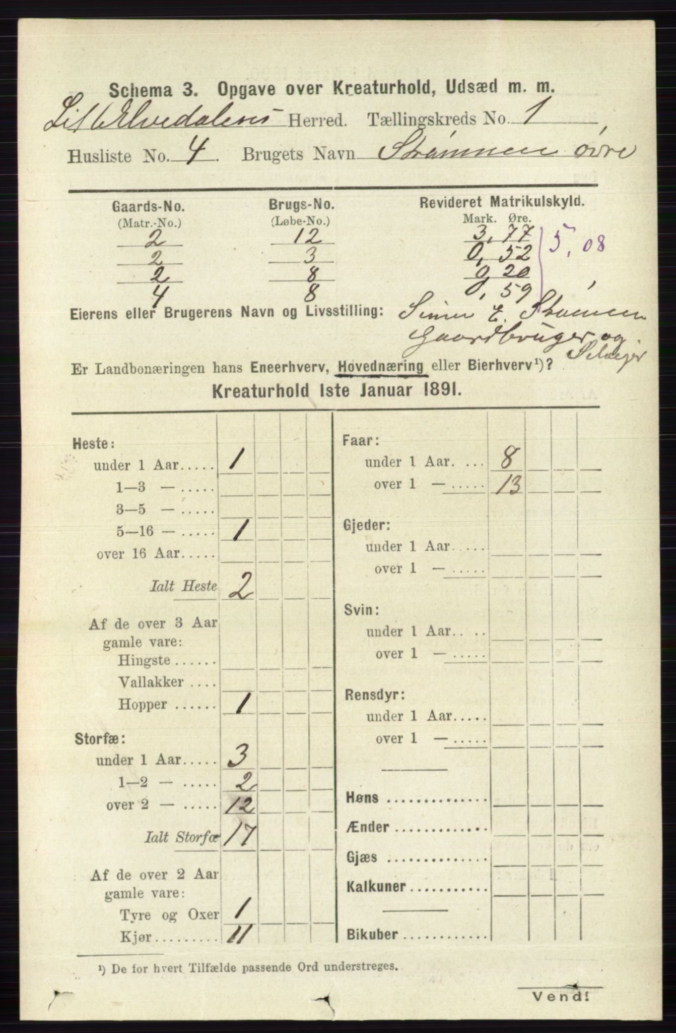 RA, 1891 census for 0438 Lille Elvedalen, 1891, p. 3916