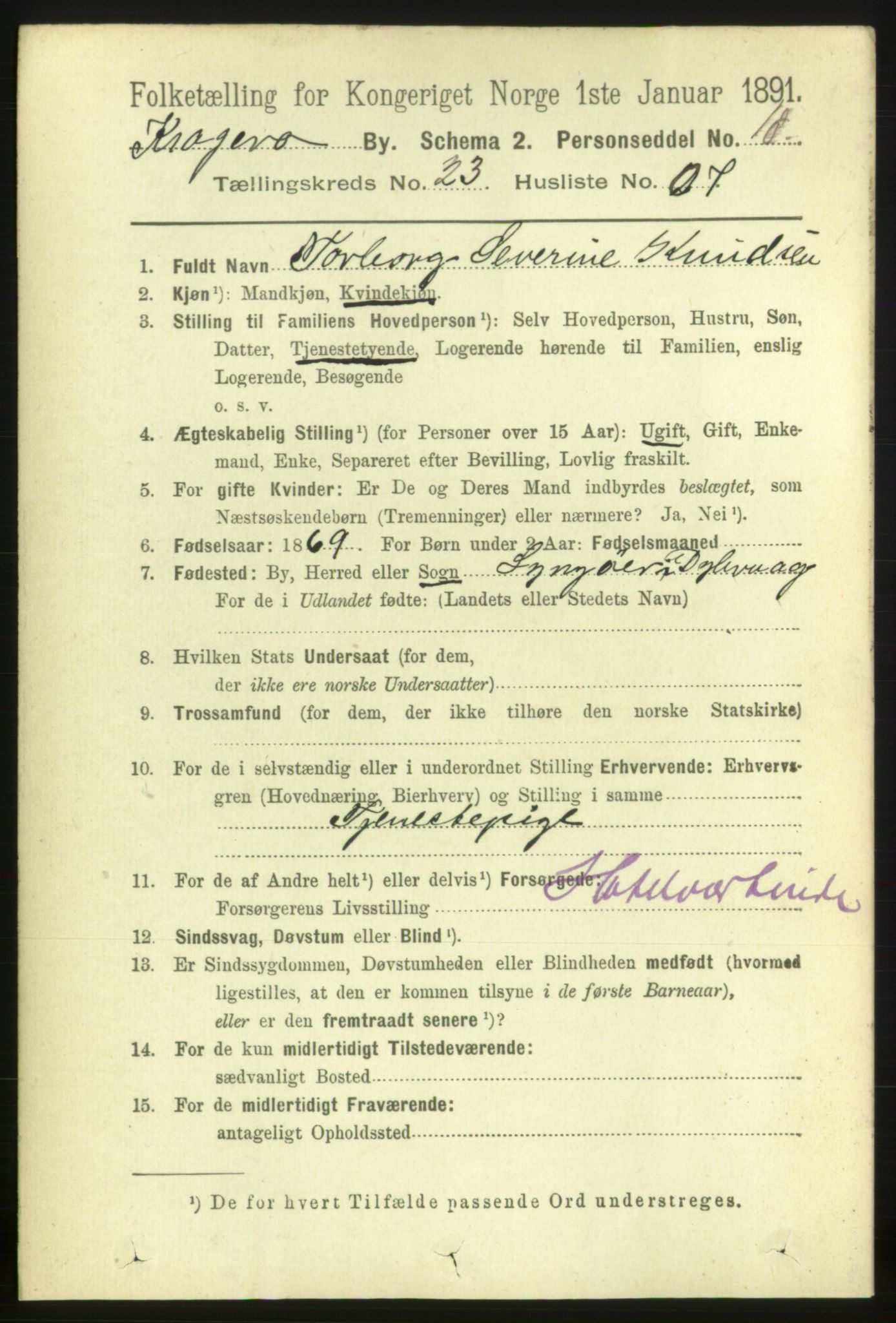 RA, 1891 census for 0801 Kragerø, 1891, p. 4979