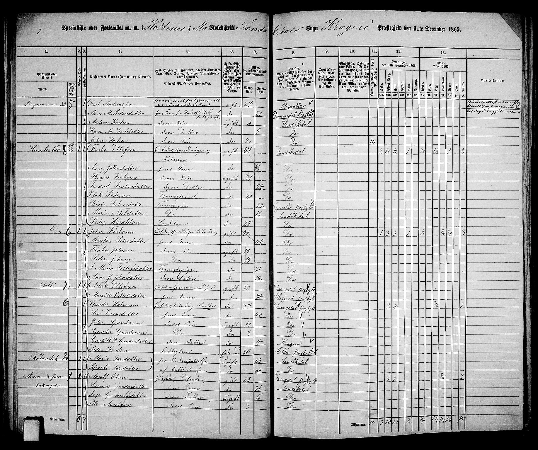 RA, 1865 census for Kragerø/Sannidal og Skåtøy, 1865, p. 32