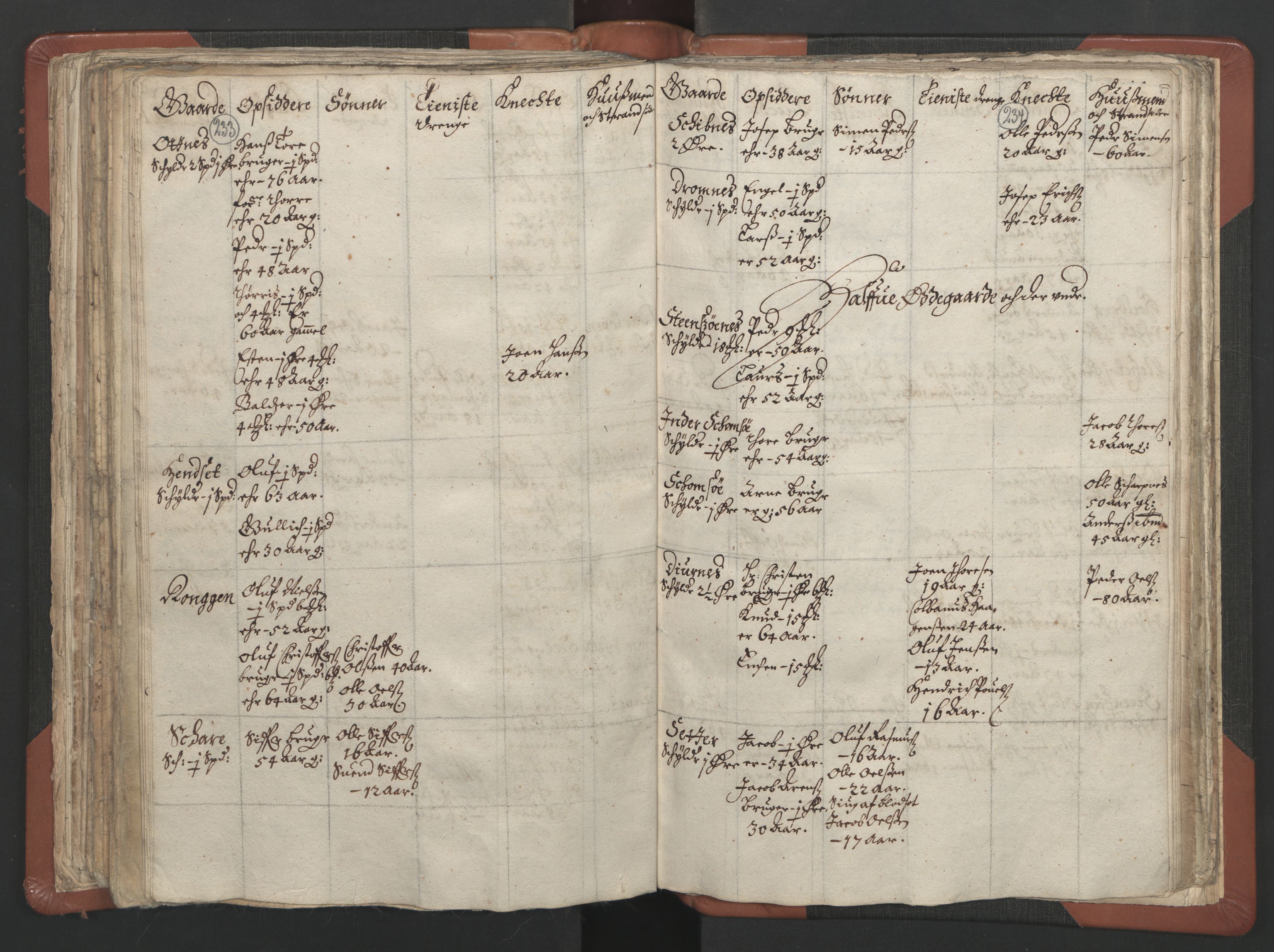 RA, Vicar's Census 1664-1666, no. 29: Nordmøre deanery, 1664-1666, p. 233-234