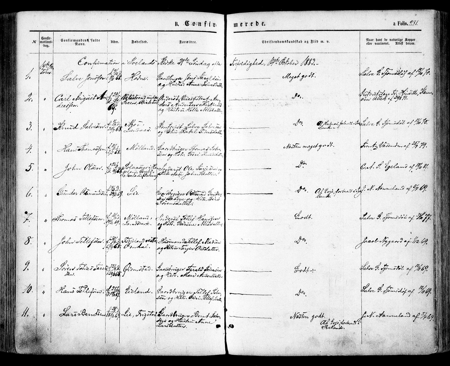 Evje sokneprestkontor, SAK/1111-0008/F/Fa/Faa/L0006: Parish register (official) no. A 6, 1866-1884, p. 281