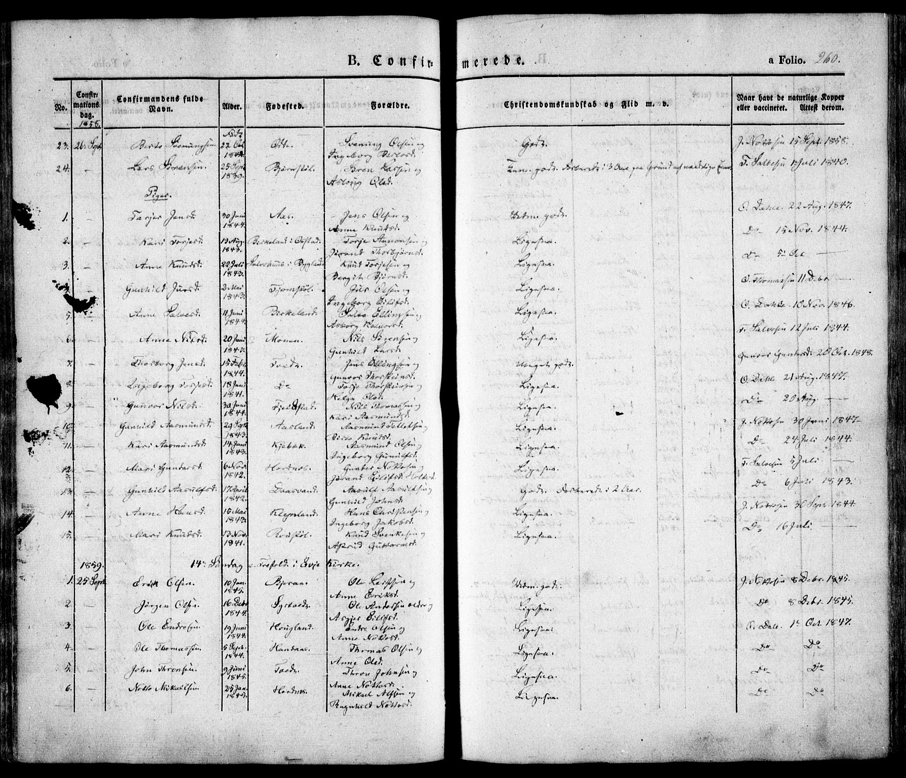 Evje sokneprestkontor, SAK/1111-0008/F/Fa/Faa/L0005: Parish register (official) no. A 5, 1843-1865, p. 260
