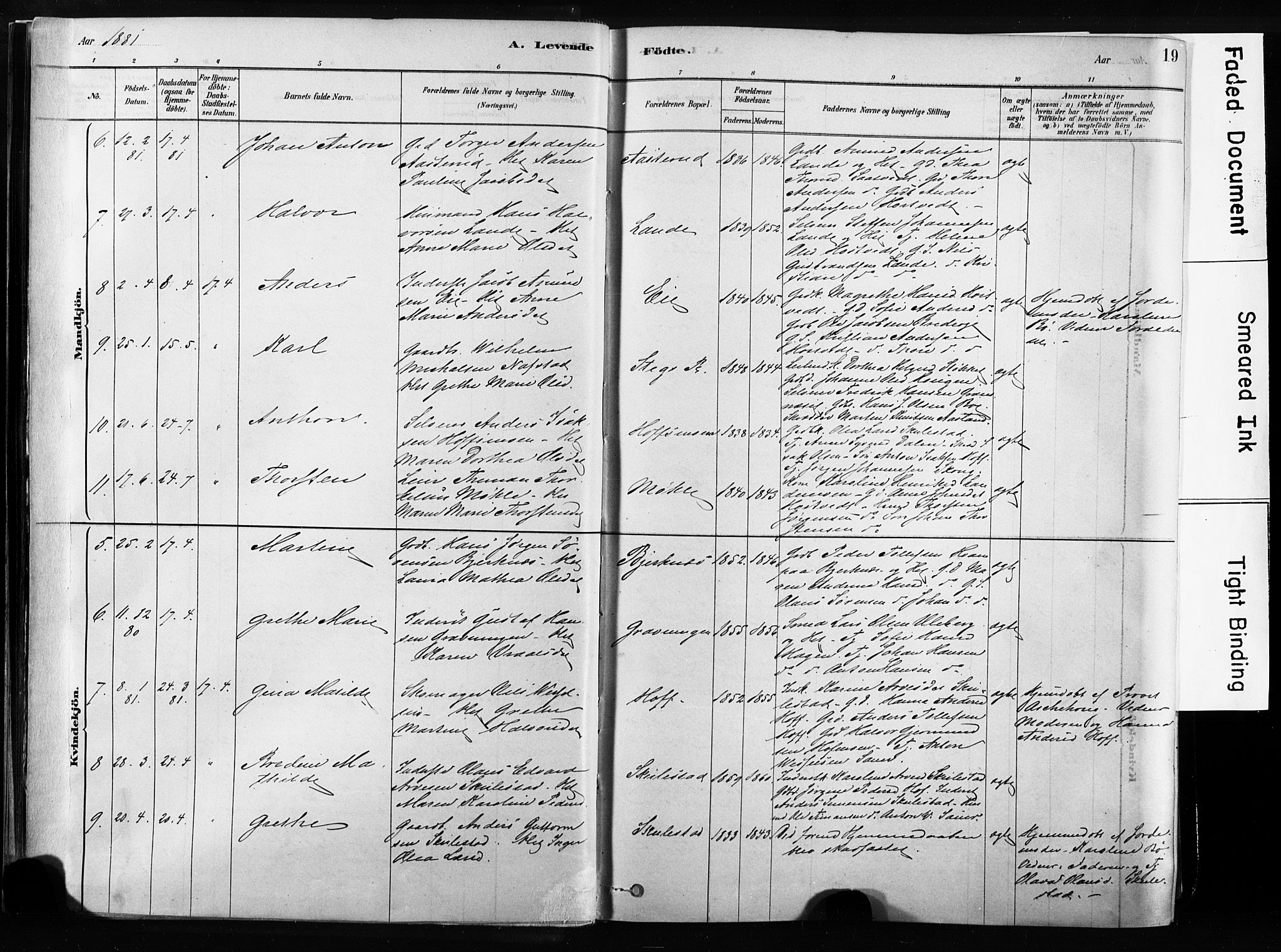 Sandsvær kirkebøker, AV/SAKO-A-244/F/Fb/L0001: Parish register (official) no. II 1, 1878-1906, p. 19