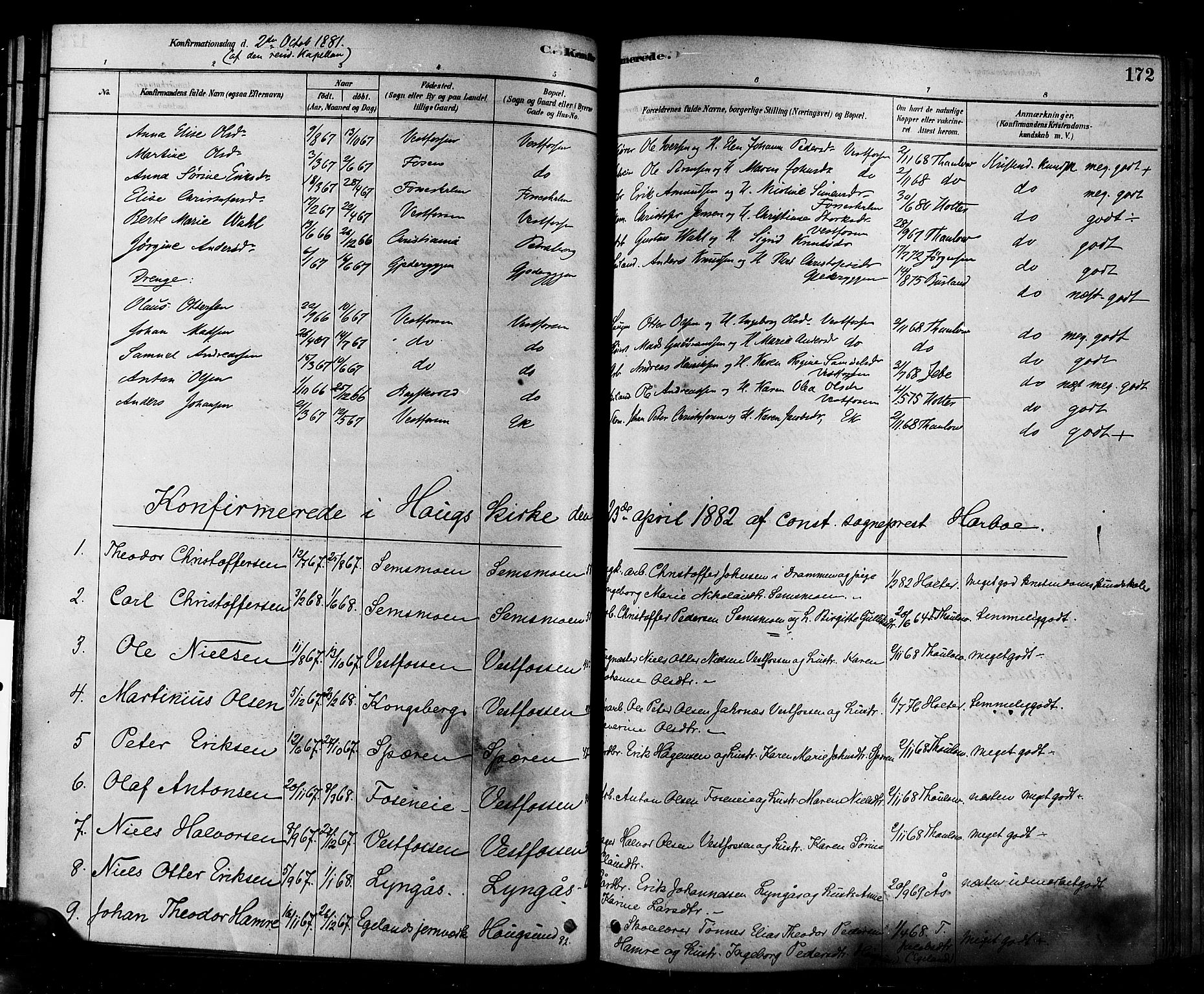 Eiker kirkebøker, SAKO/A-4/F/Fb/L0001: Parish register (official) no. II 1, 1878-1888, p. 172