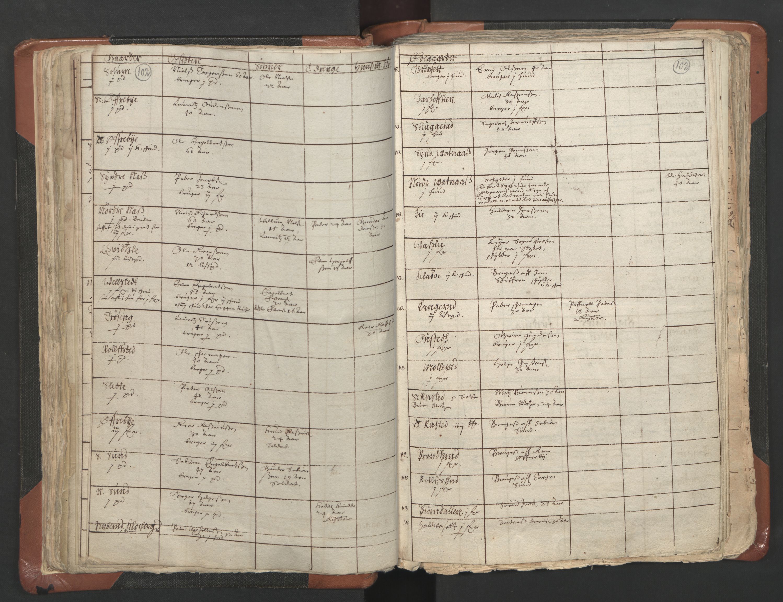 RA, Vicar's Census 1664-1666, no. 9: Bragernes deanery, 1664-1666, p. 102-103