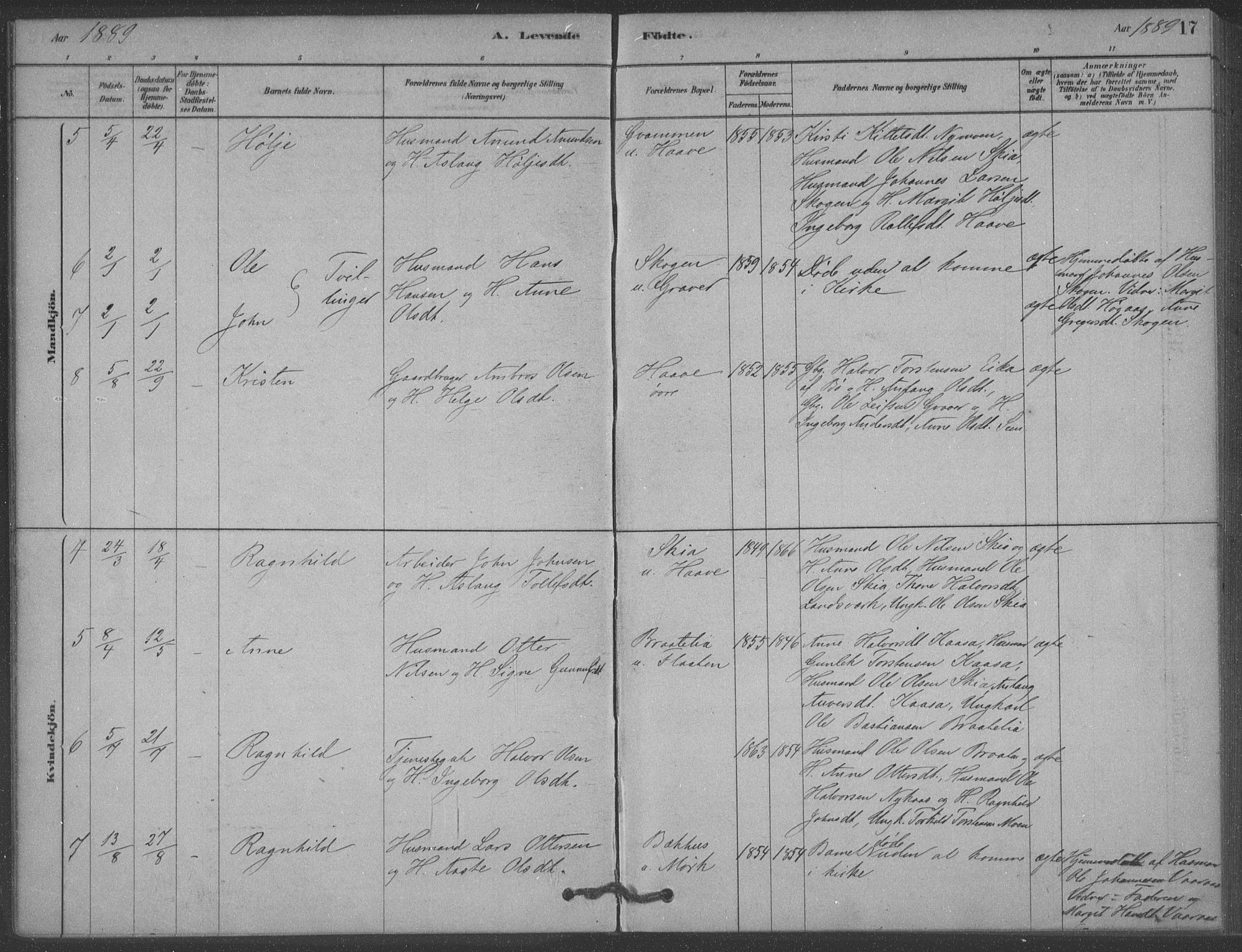 Heddal kirkebøker, AV/SAKO-A-268/F/Fb/L0002: Parish register (official) no. II 2, 1878-1913, p. 17