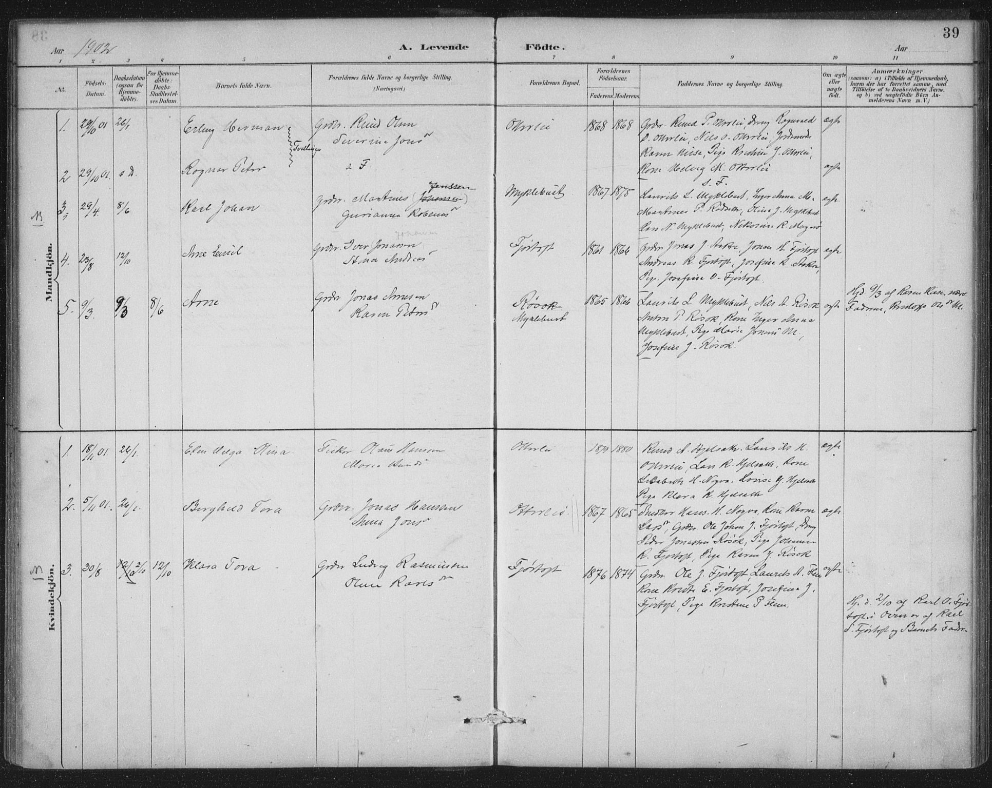 Ministerialprotokoller, klokkerbøker og fødselsregistre - Møre og Romsdal, SAT/A-1454/538/L0522: Parish register (official) no. 538A01, 1884-1913, p. 39