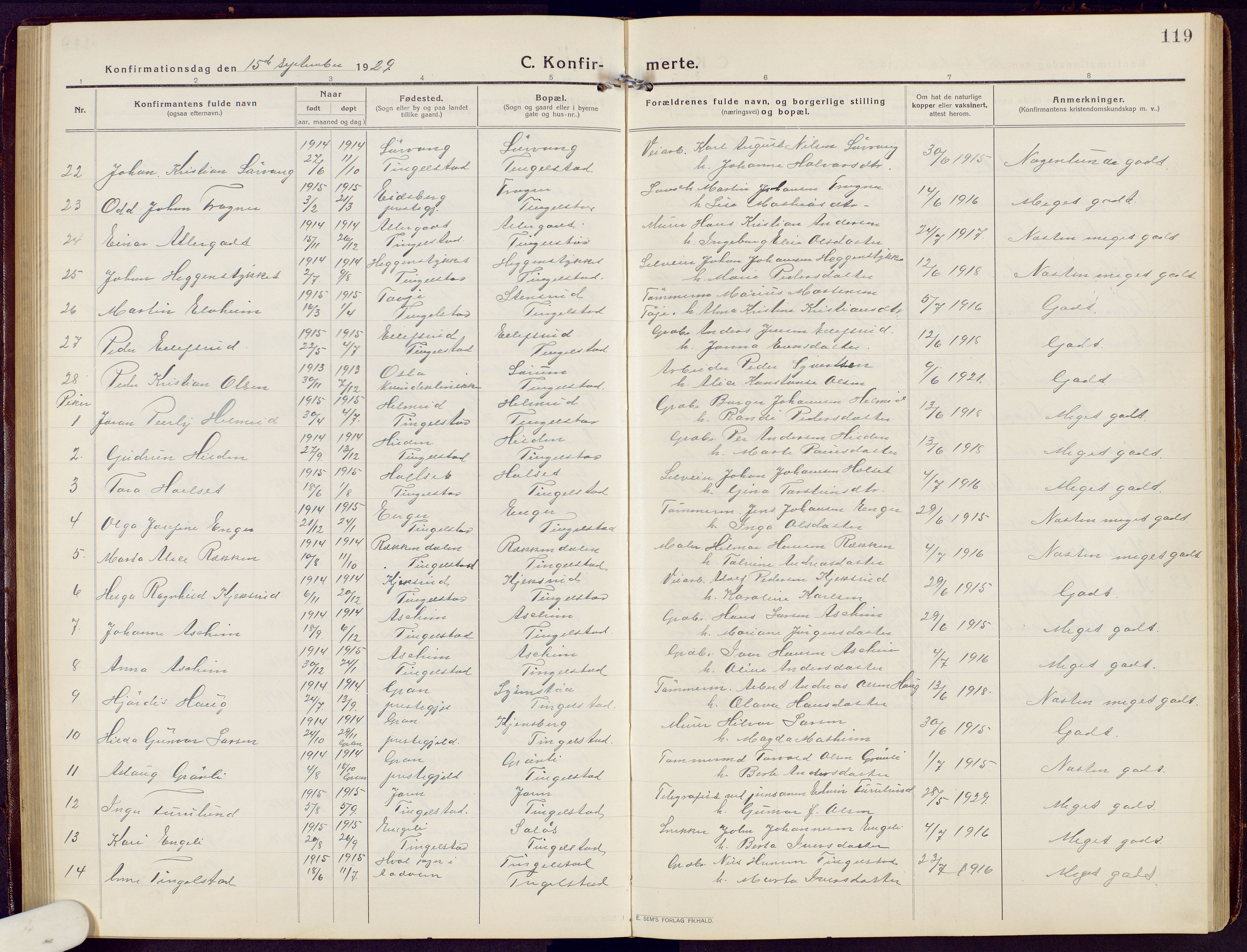 Brandbu prestekontor, AV/SAH-PREST-114/H/Ha/Hab/L0010: Parish register (copy) no. 10, 1916-1930, p. 119