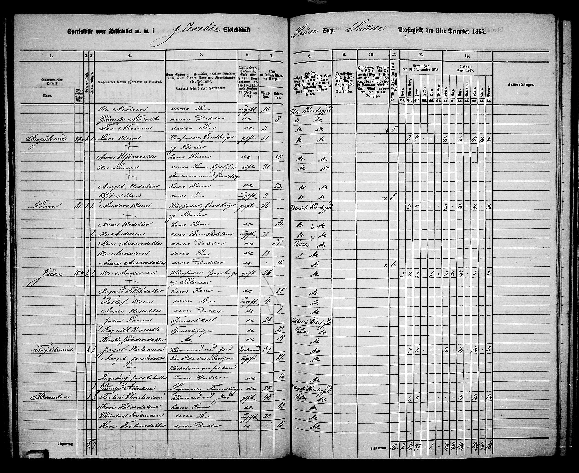 RA, 1865 census for Sauherad, 1865, p. 72